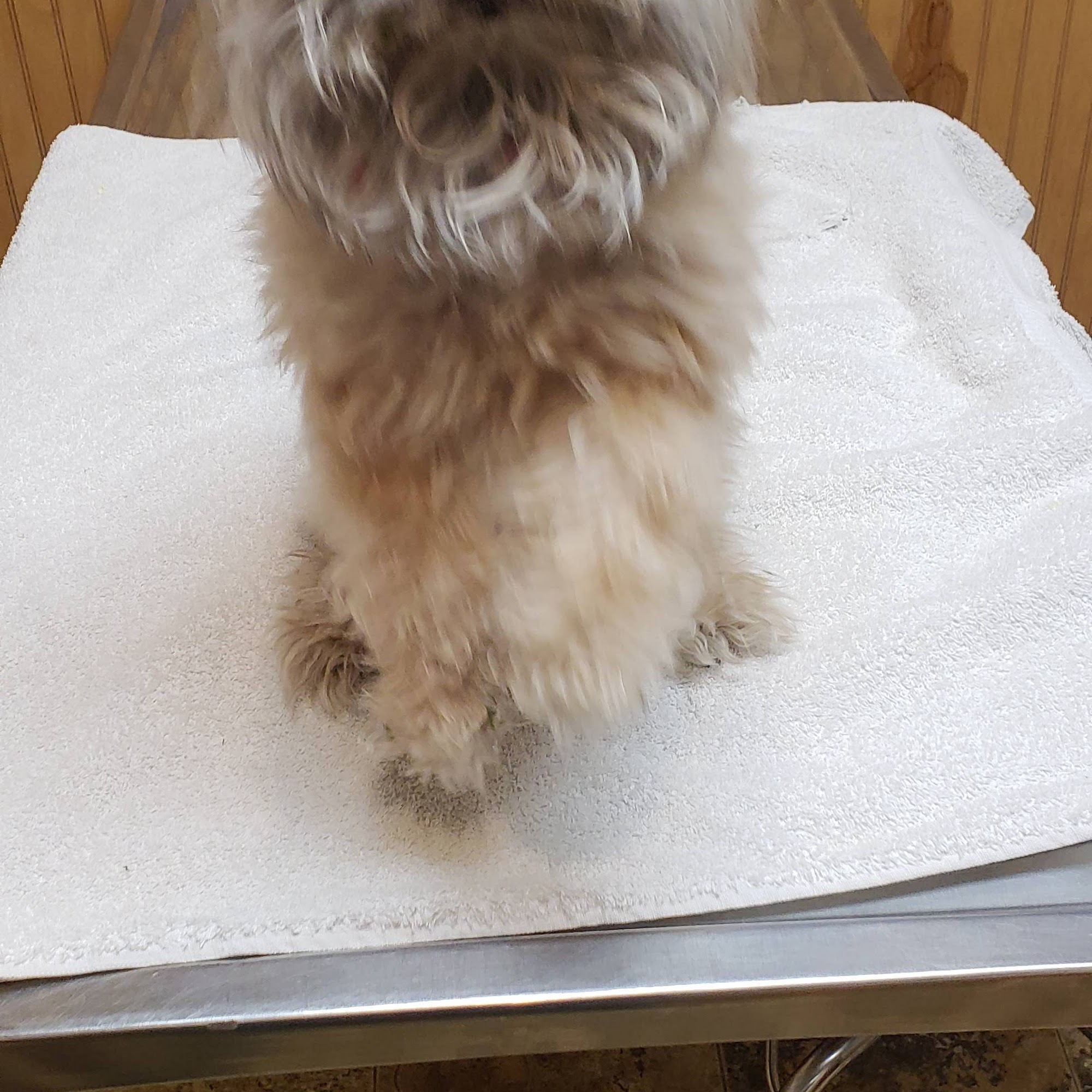 Blackfoot Animal Clinic LLC Blackfoot