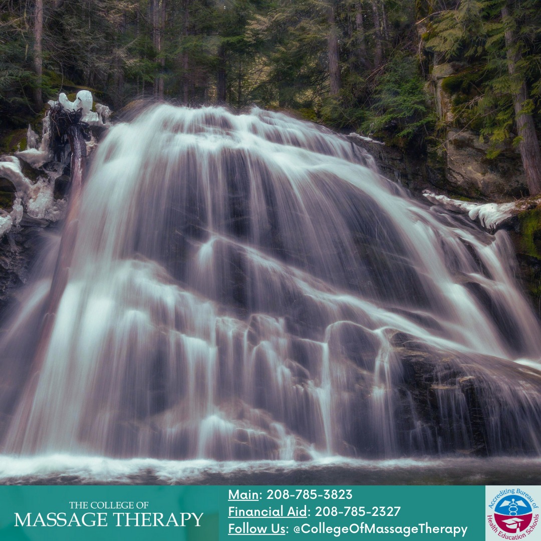 Massotherapy Clinic