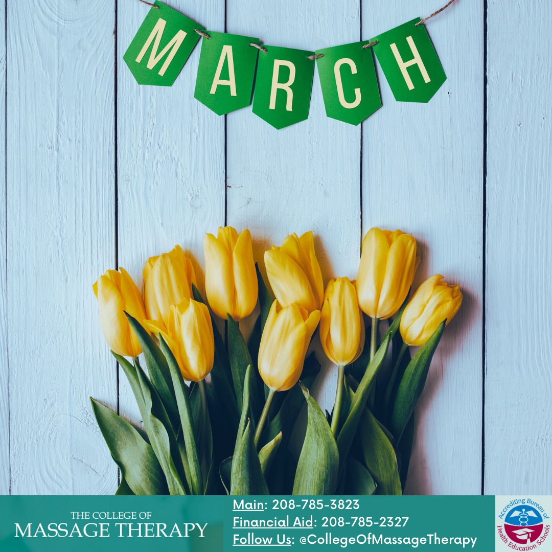 Massotherapy Clinic