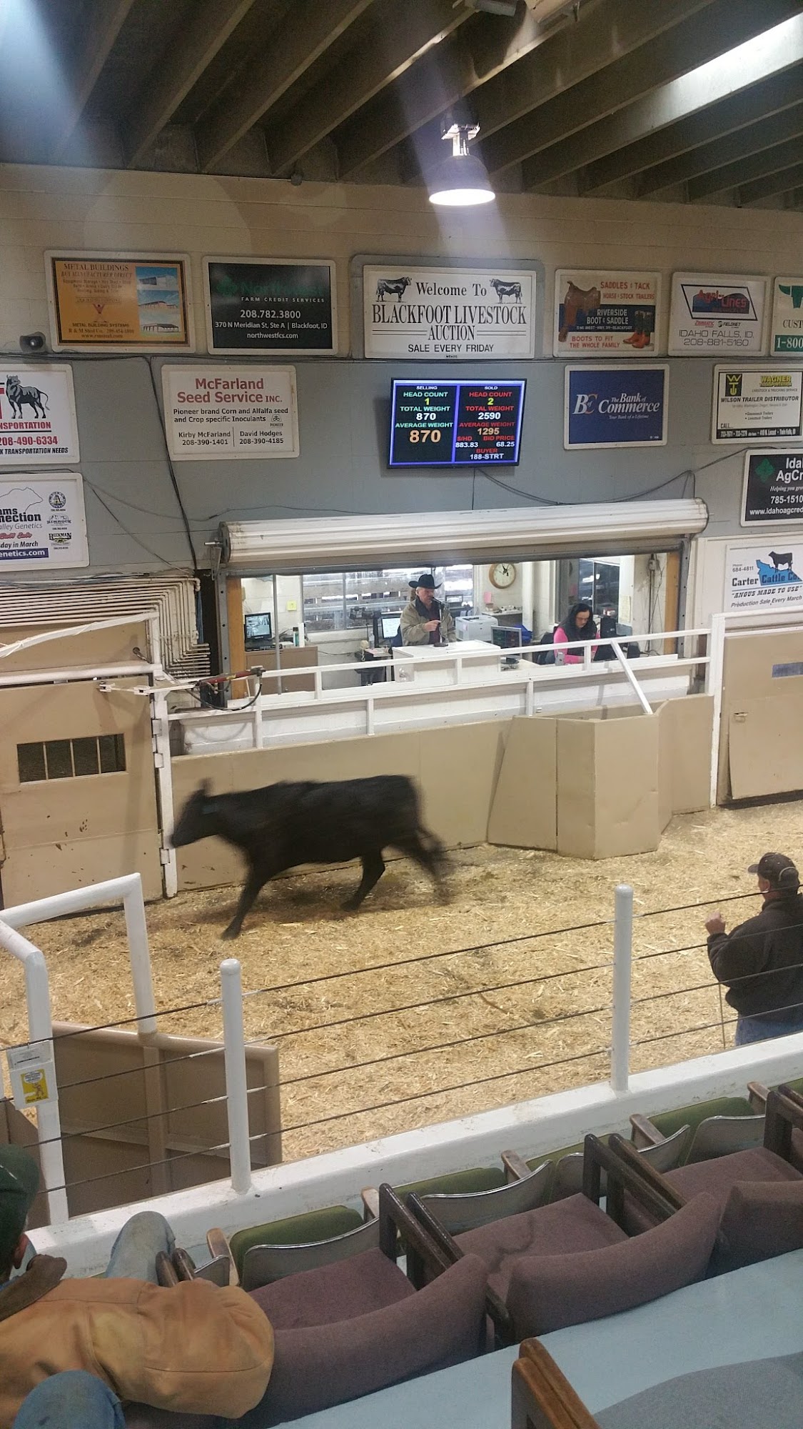 Blackfoot Livestock Auction Blackfoot