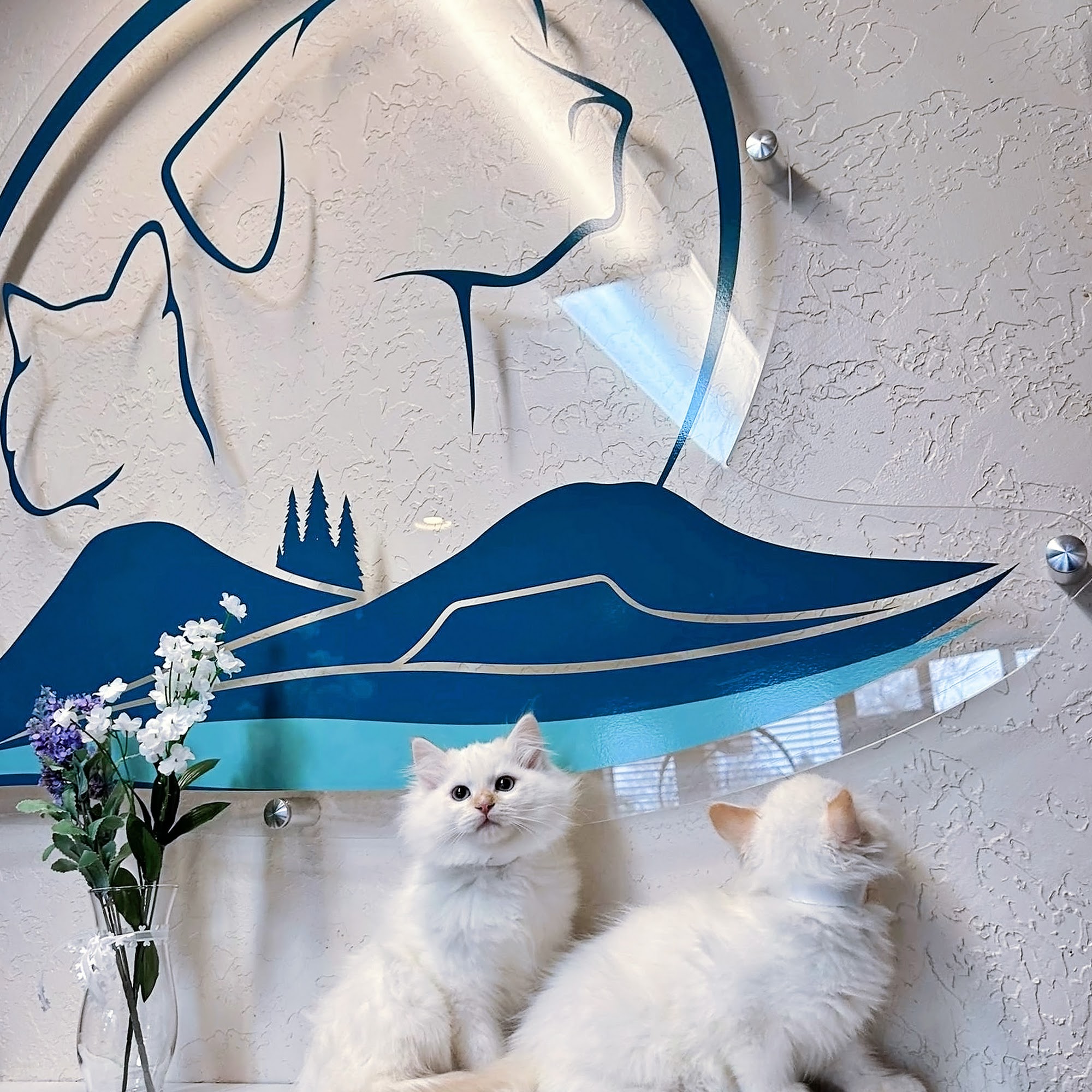 Ada Veterinary Hospital Boise