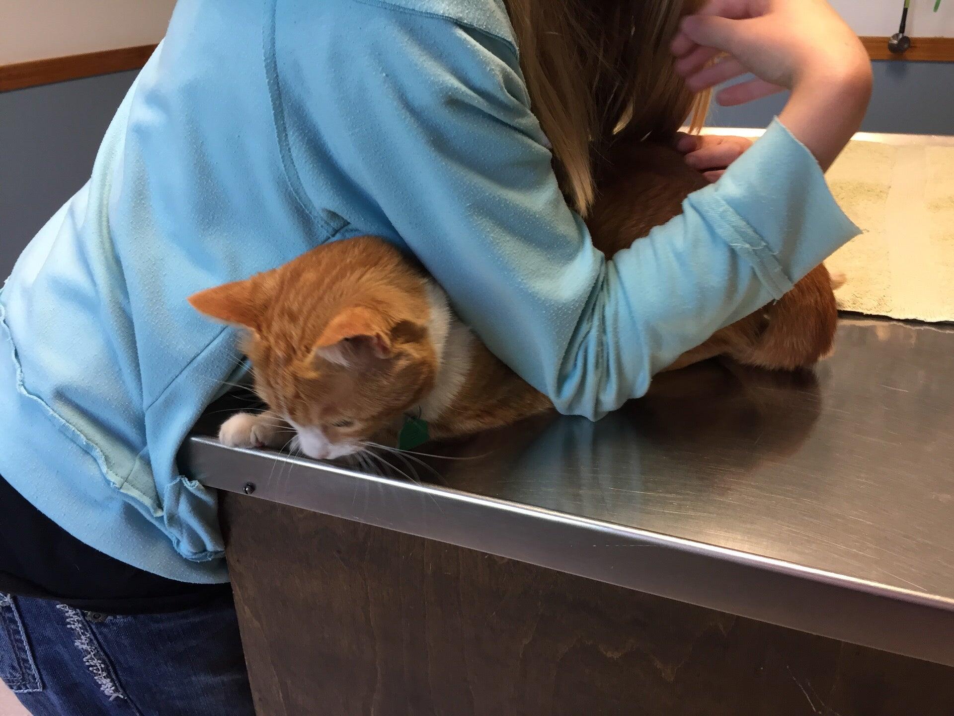 Dr. Beverly Schoeberl