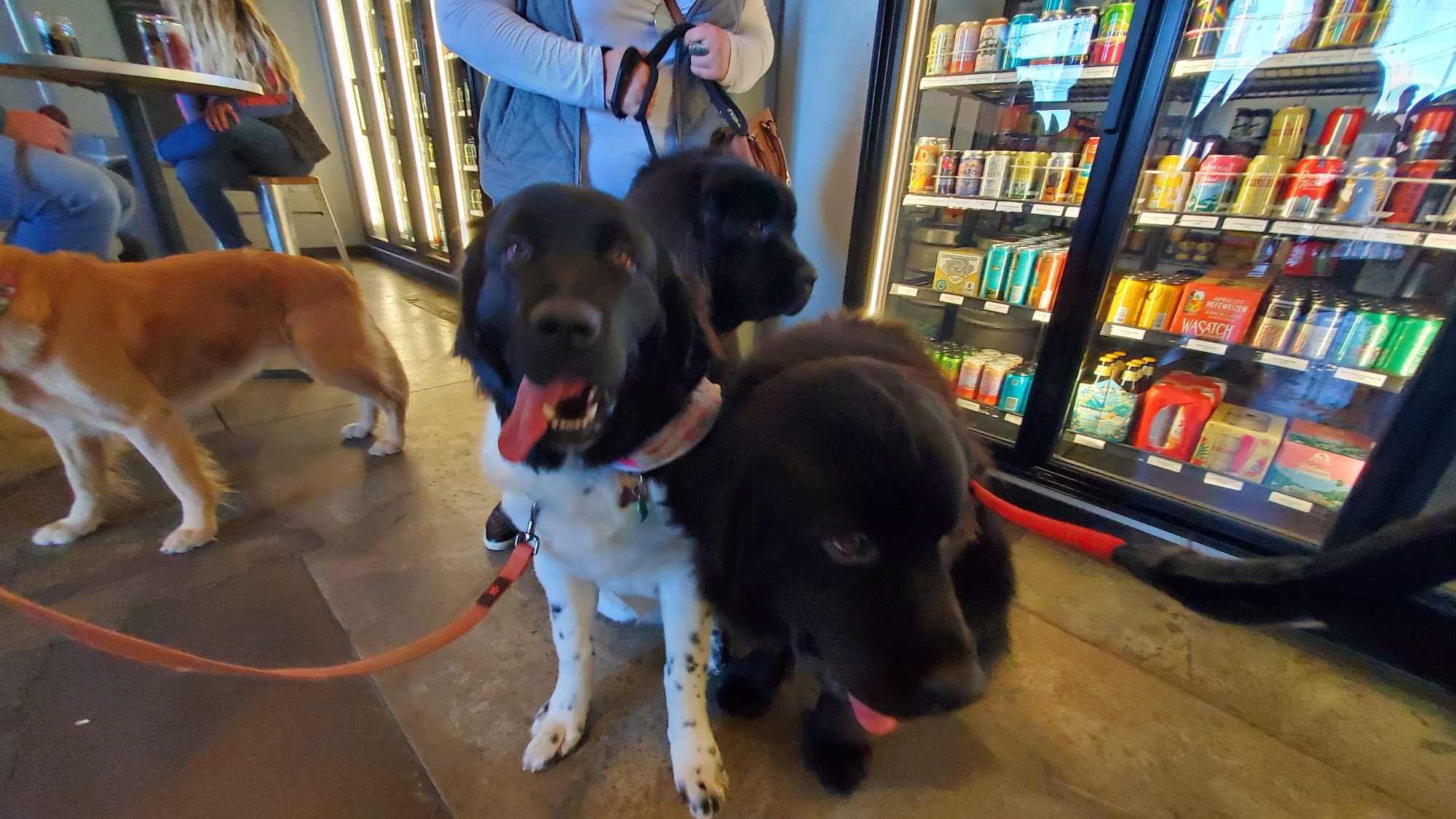 Hops and Bottles Boise