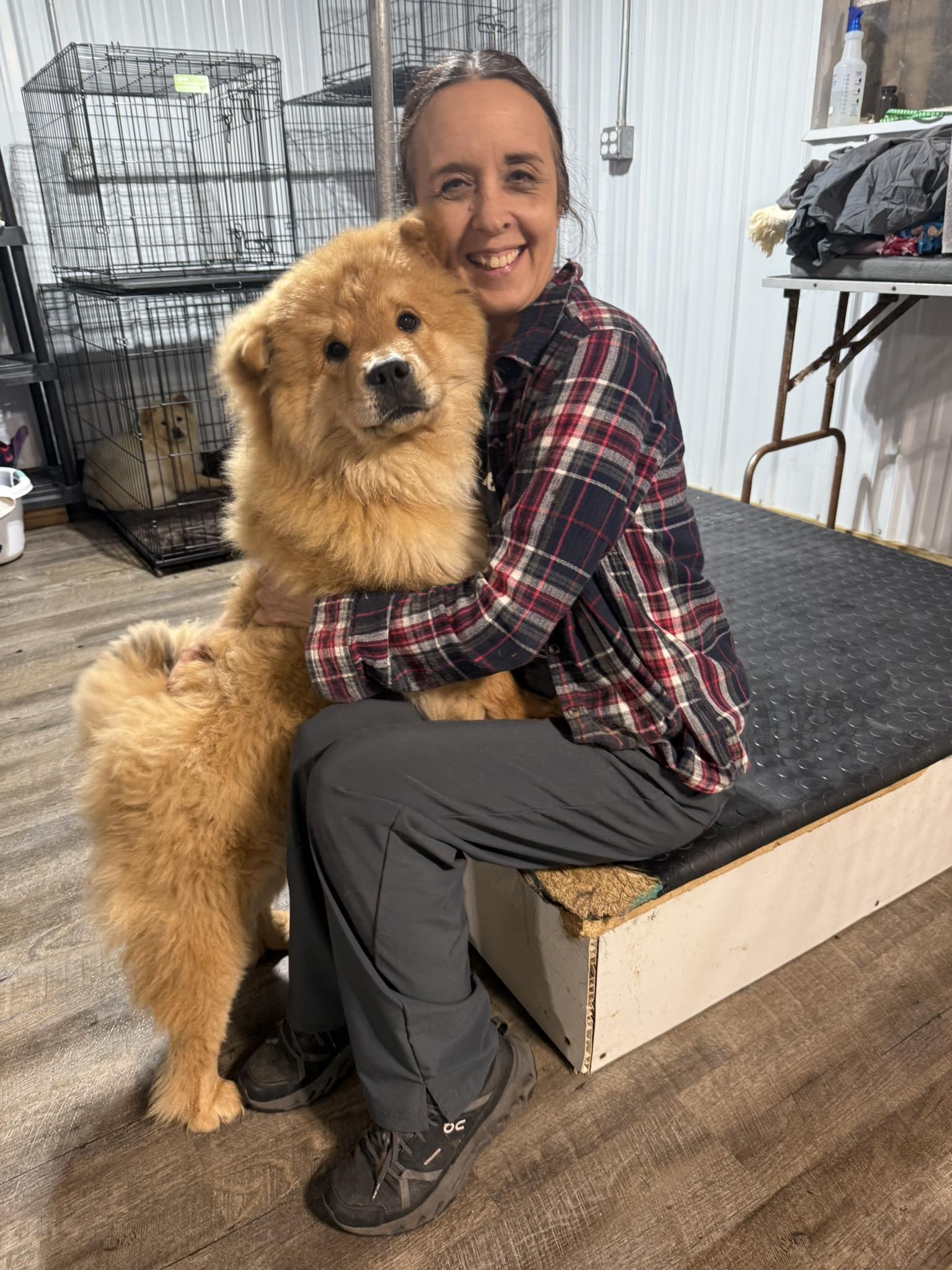 D’Tails Pet Grooming Boise