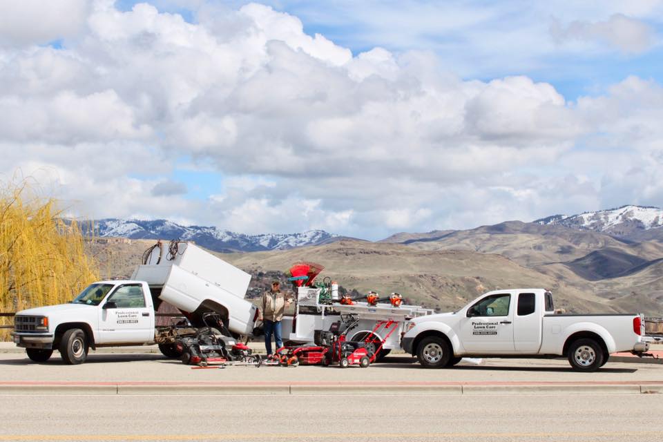 Professional Lawn Care