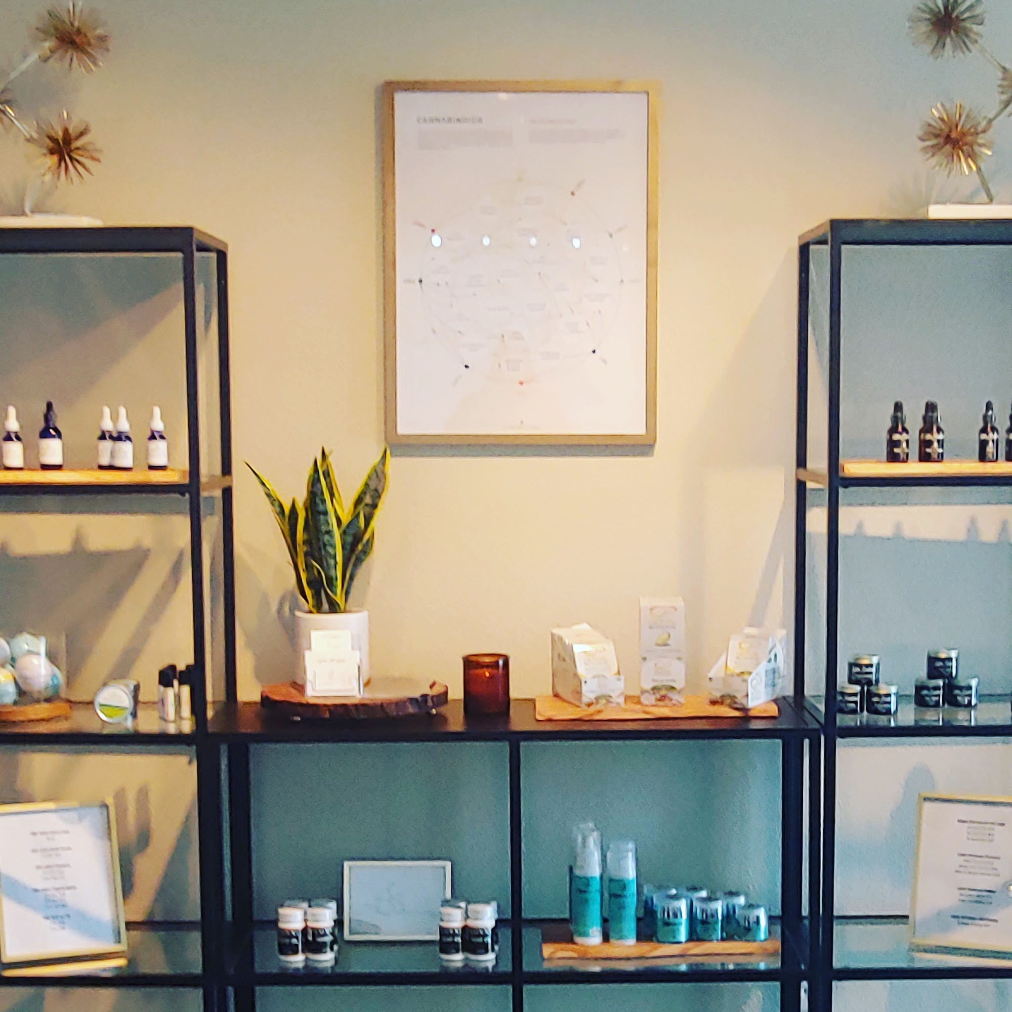 Kaneh Massage & Co 8150 W Emerald St #160, Boise Idaho 83704