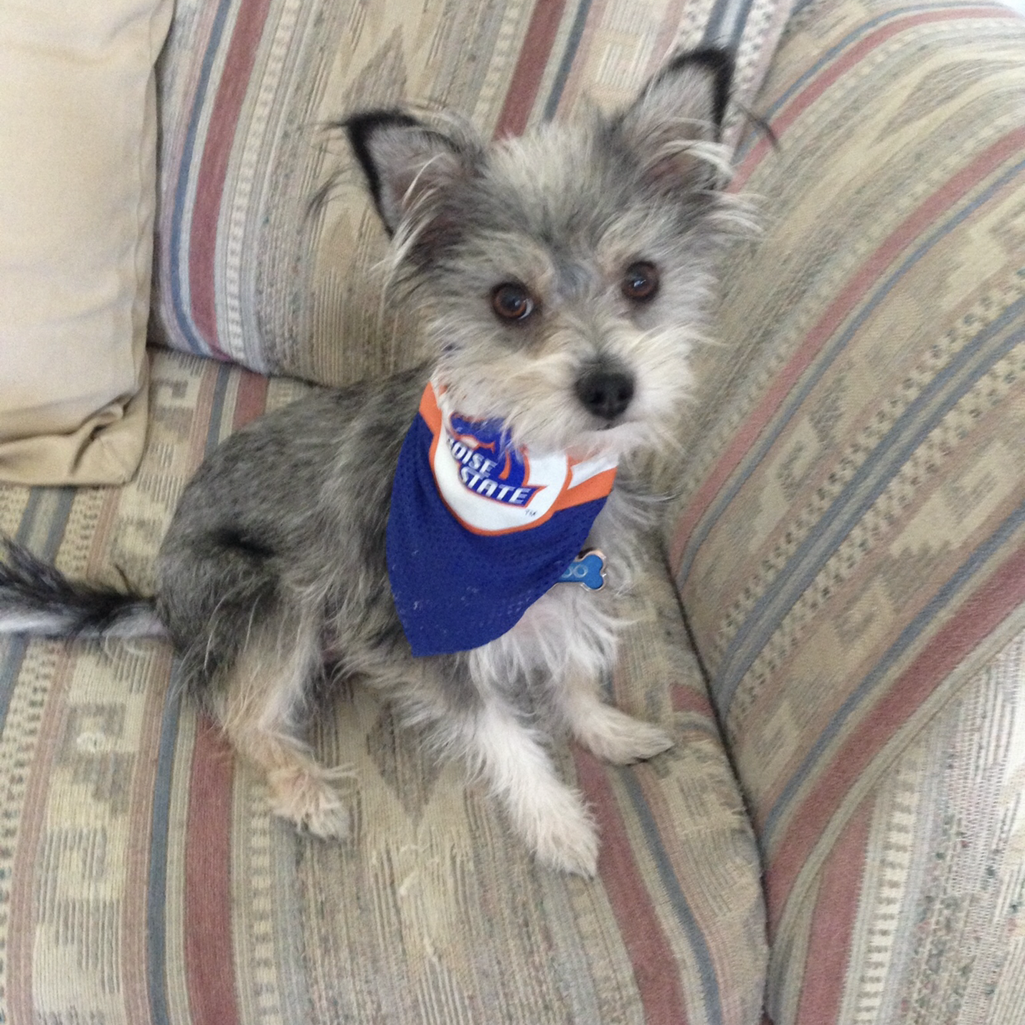 Fairview Veterinary Center Buhl