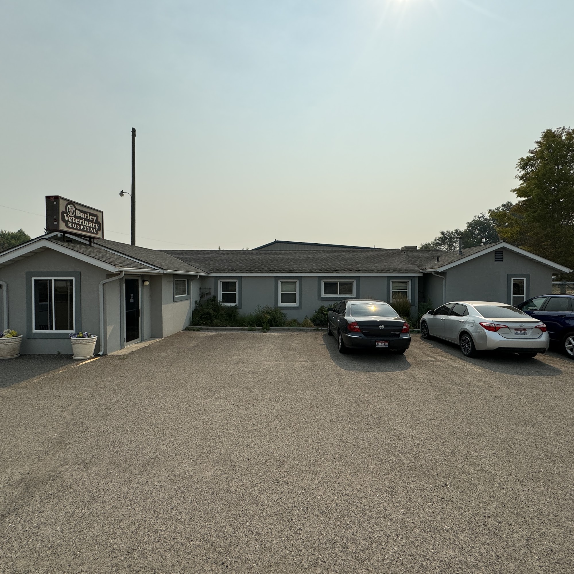 Burley Veterinary Hospital PLLC Burley