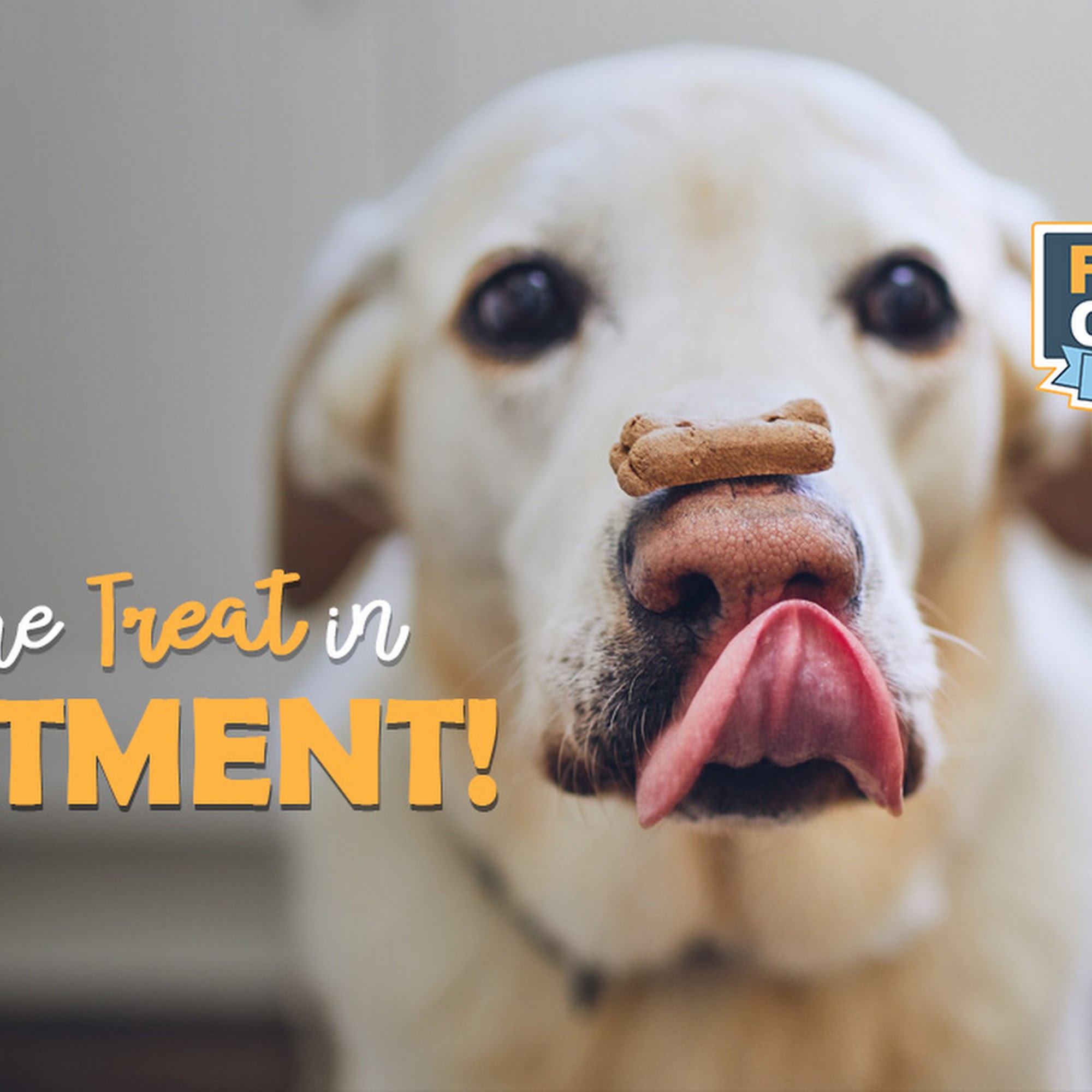 Cleveland Pet Hospital and Health Center Caldwell