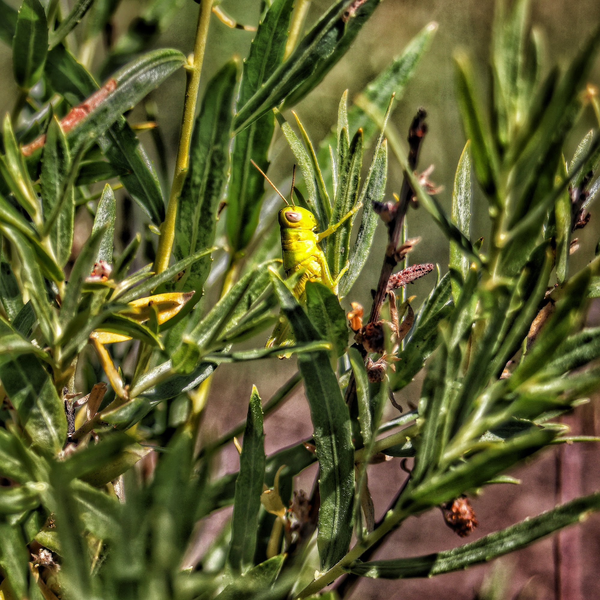 Cascade Veterinary Clinic Cascade