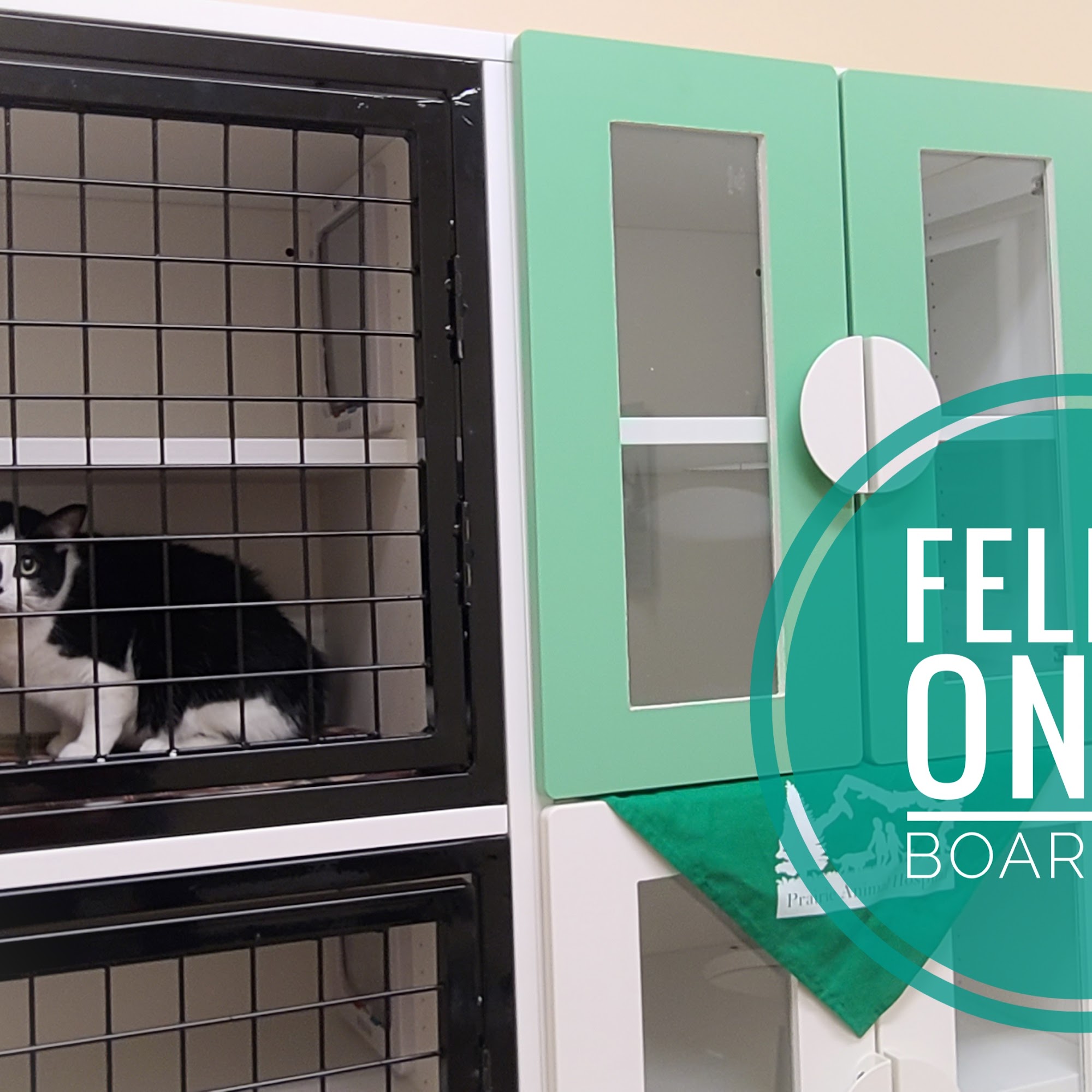 Prairie Animal Hospital Coeur d'Alene