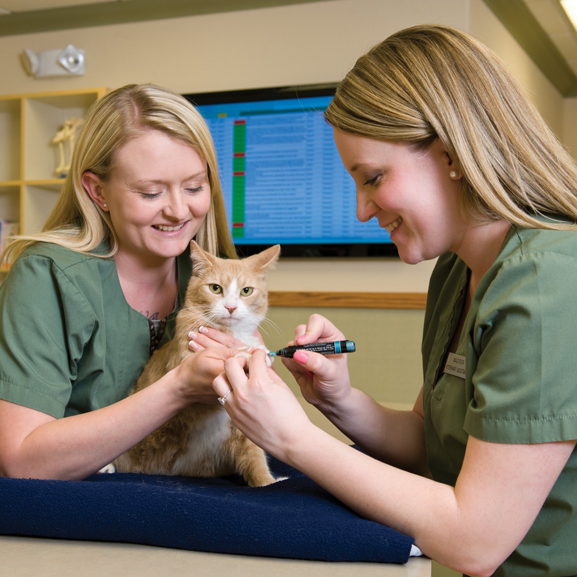 Lakewood Animal Hospital Coeur d'Alene