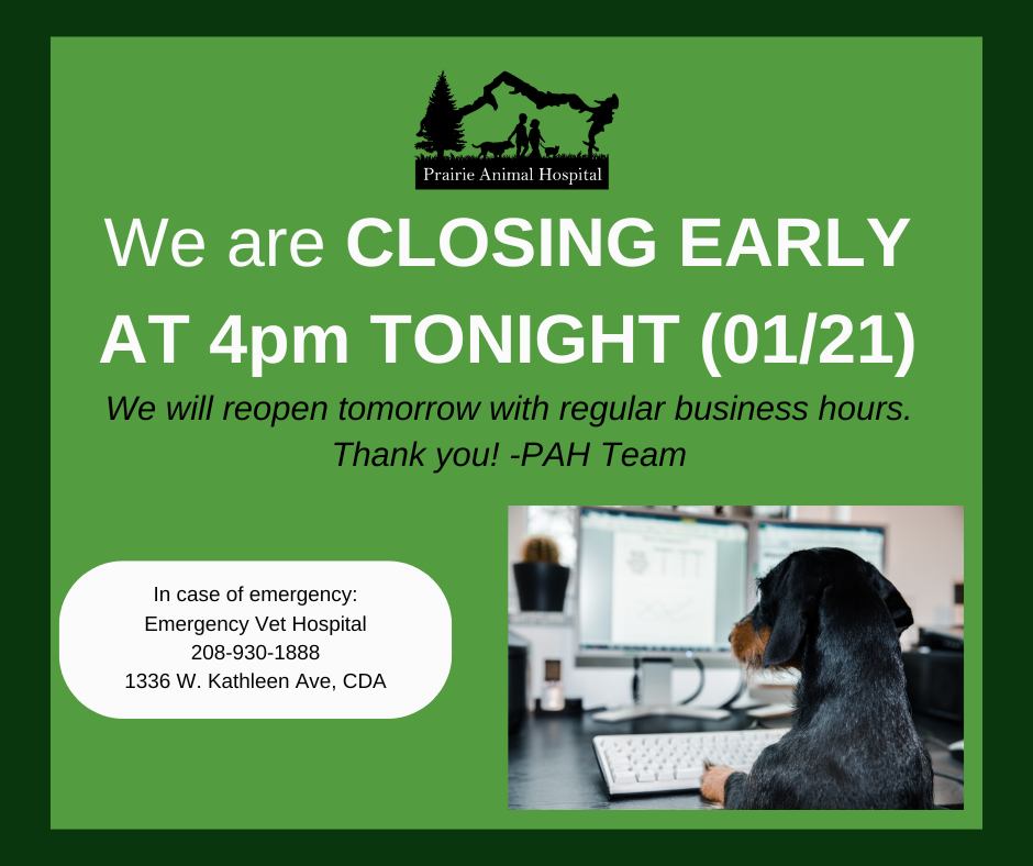 Leonard Nichole M DVM