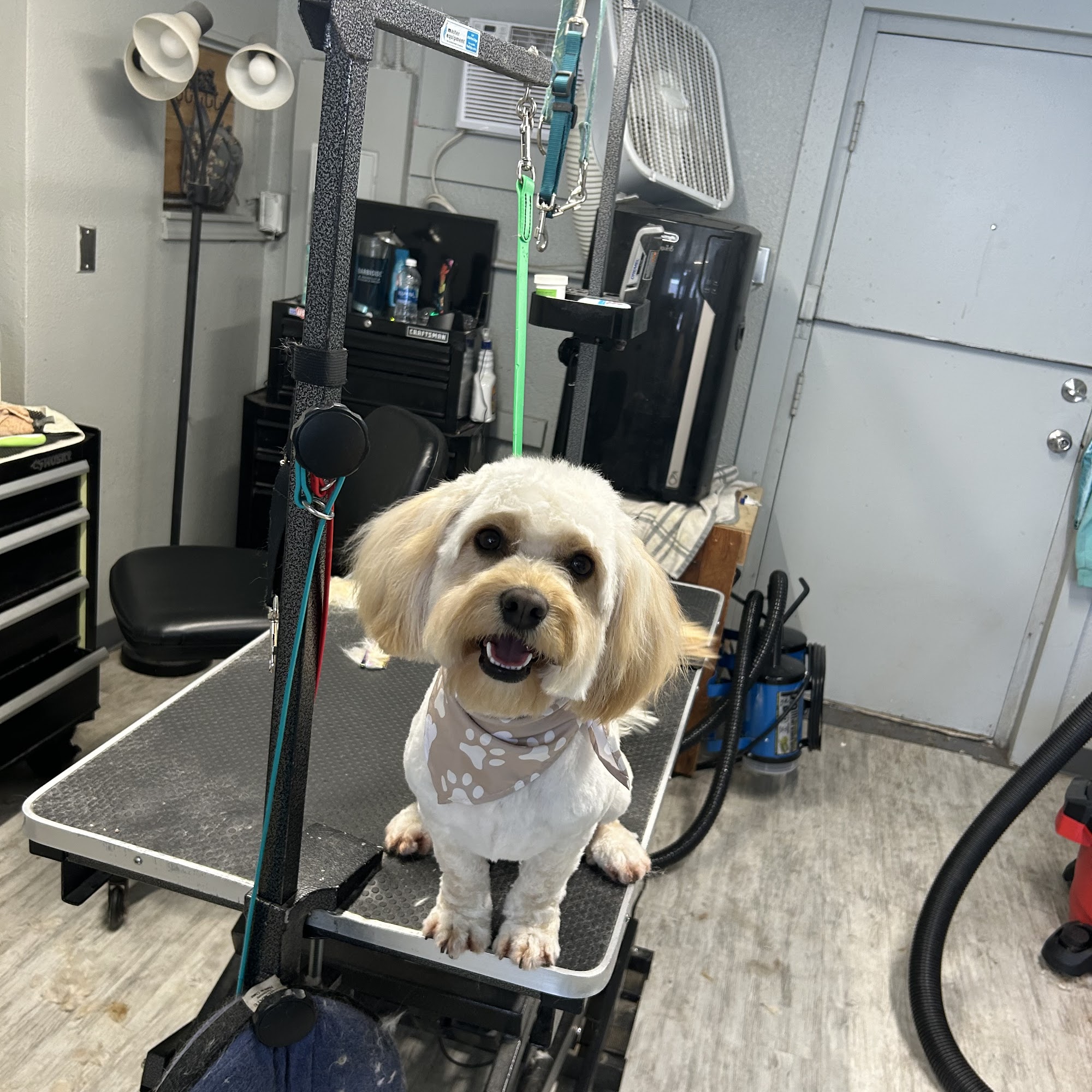 Woof Pack Pet Spa Coeur d'Alene