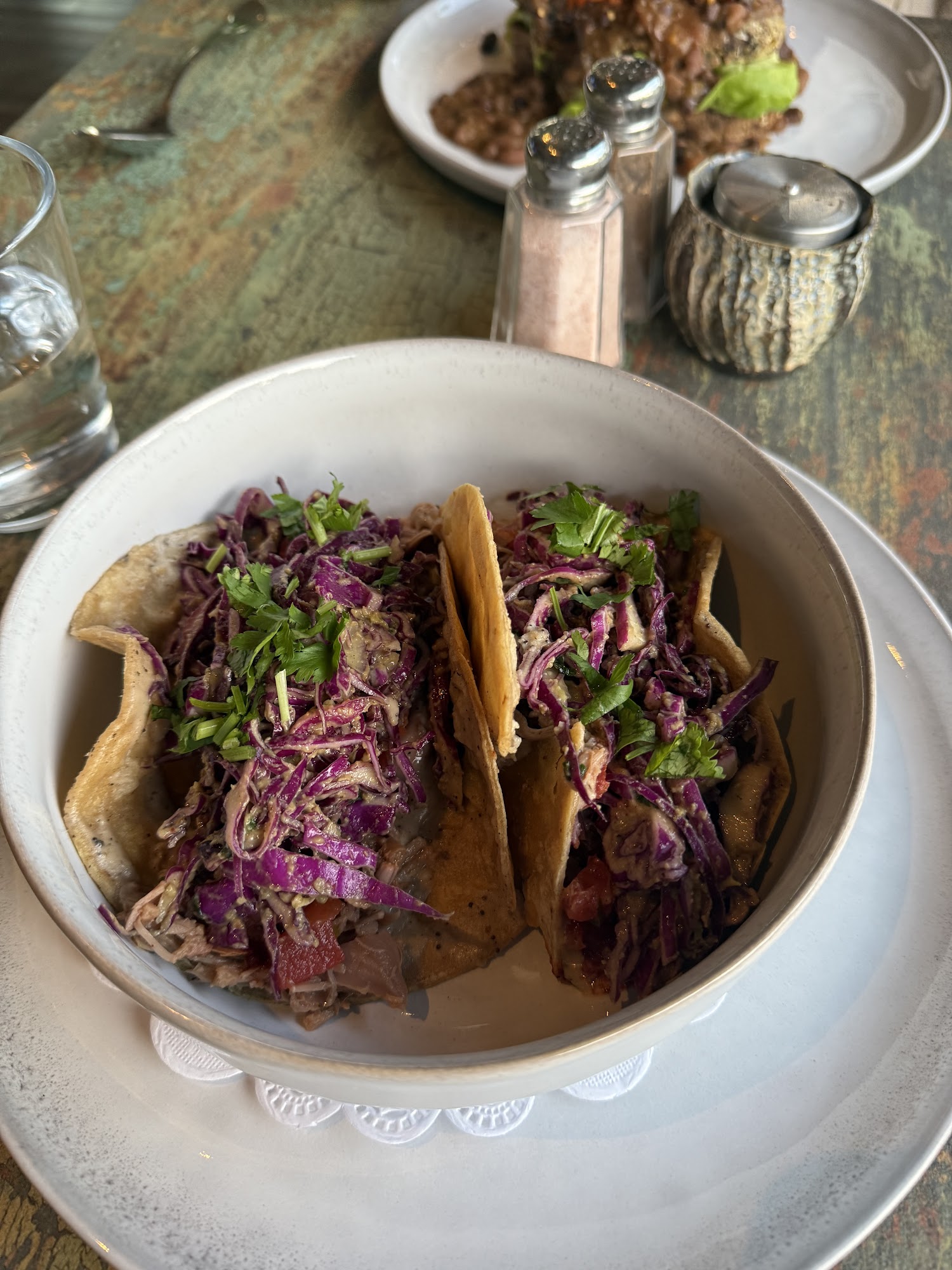 PLANT GOSSIP / ORVEGANIC KITCHEN