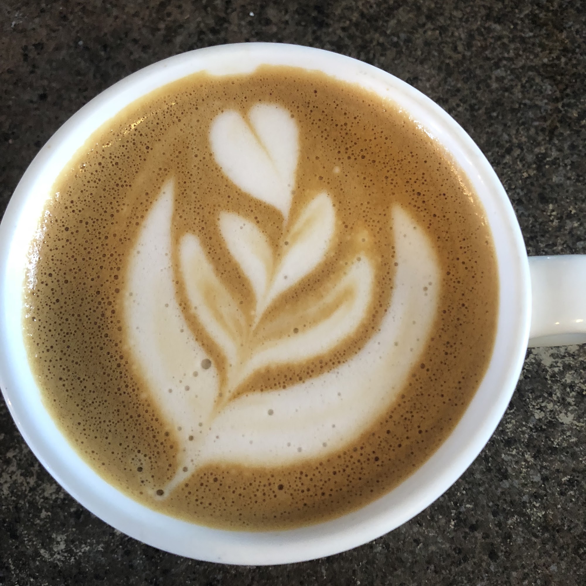 Rise Coffee House Driggs