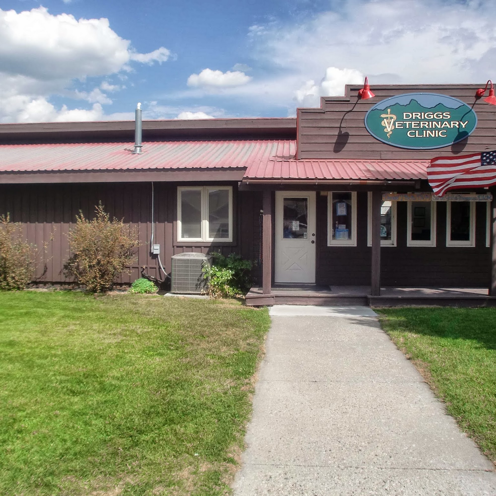 Driggs Veterinary Clinic Driggs