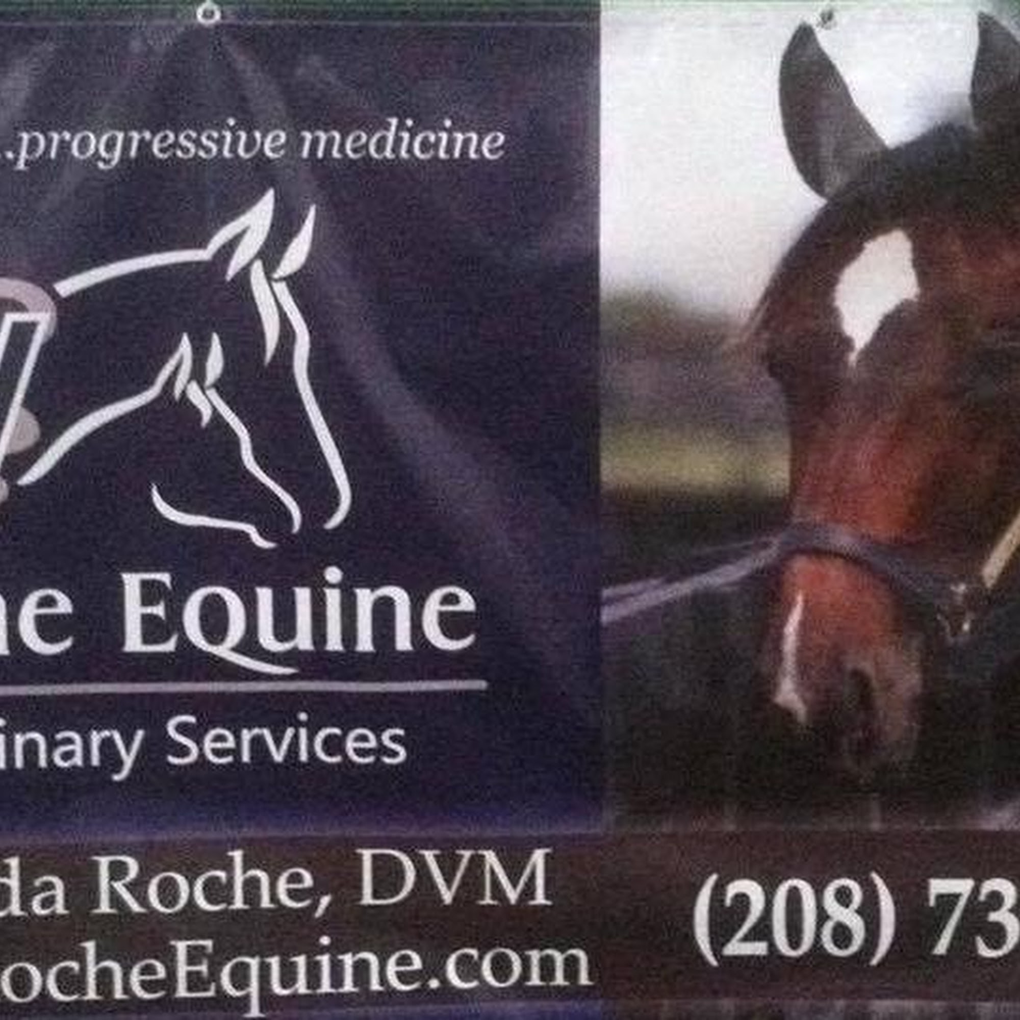 Roche Equine Veterinary Services PA Filer