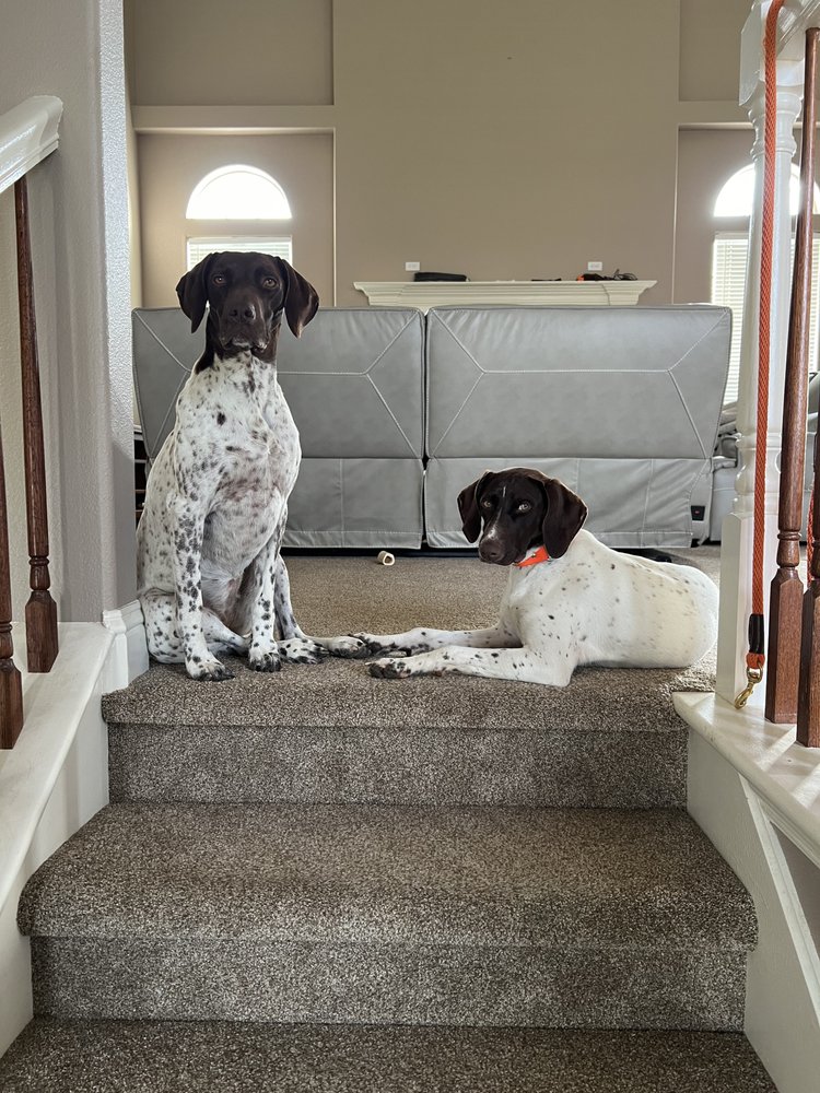 Snake River Veterinary Center Pa: Woodcock Marijeanne DVM