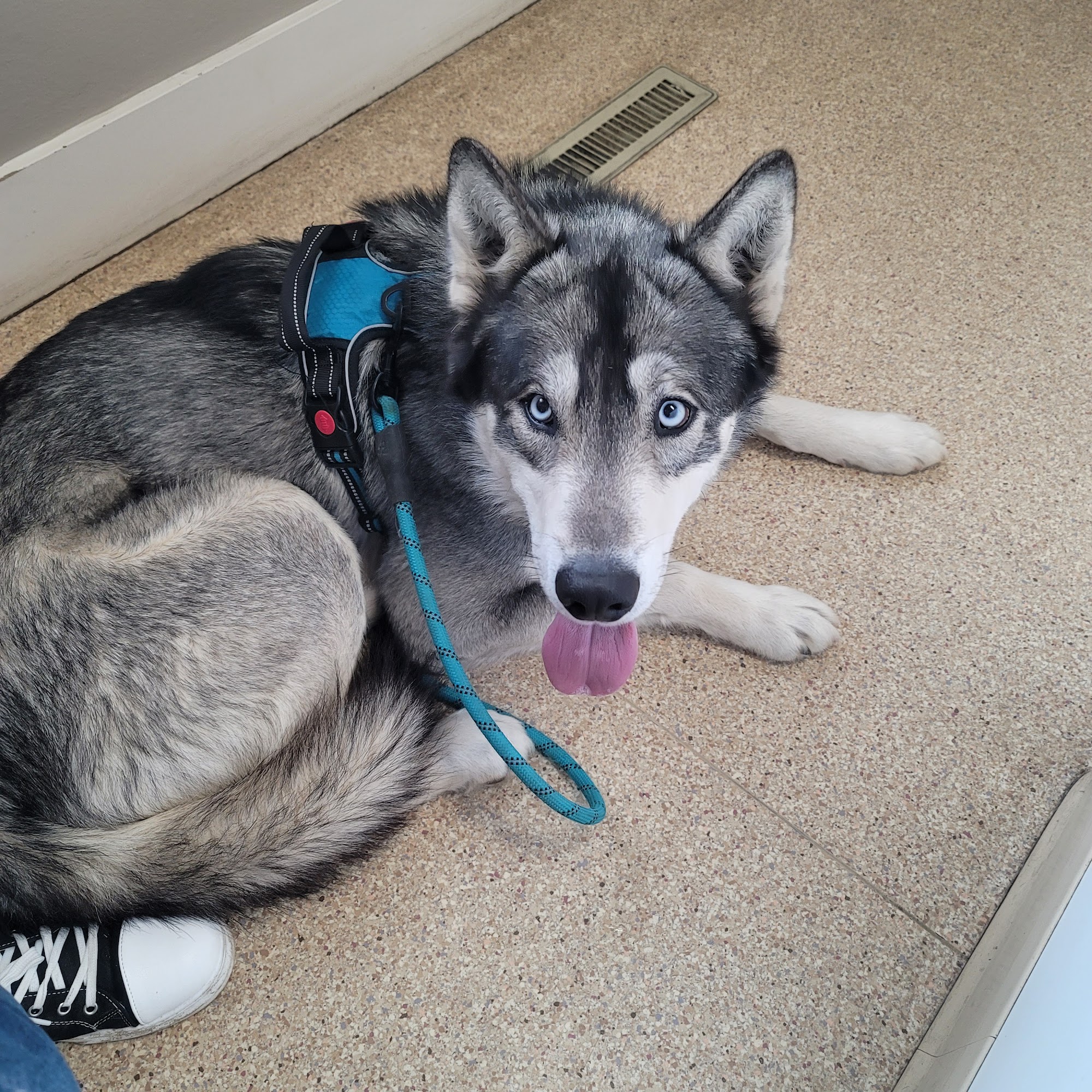 Snake River Veterinary Center PA Fruitland