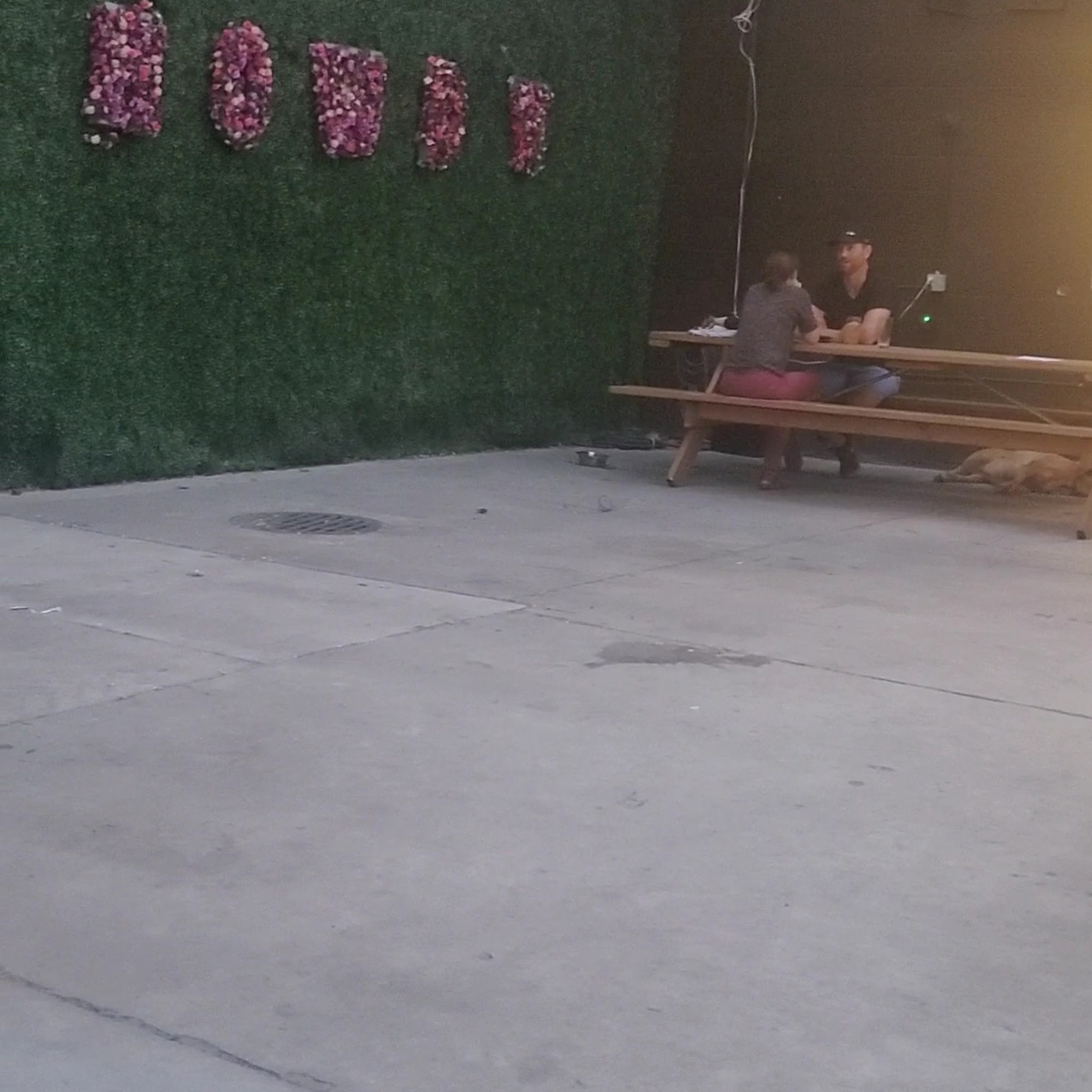 Western Collective Garden City