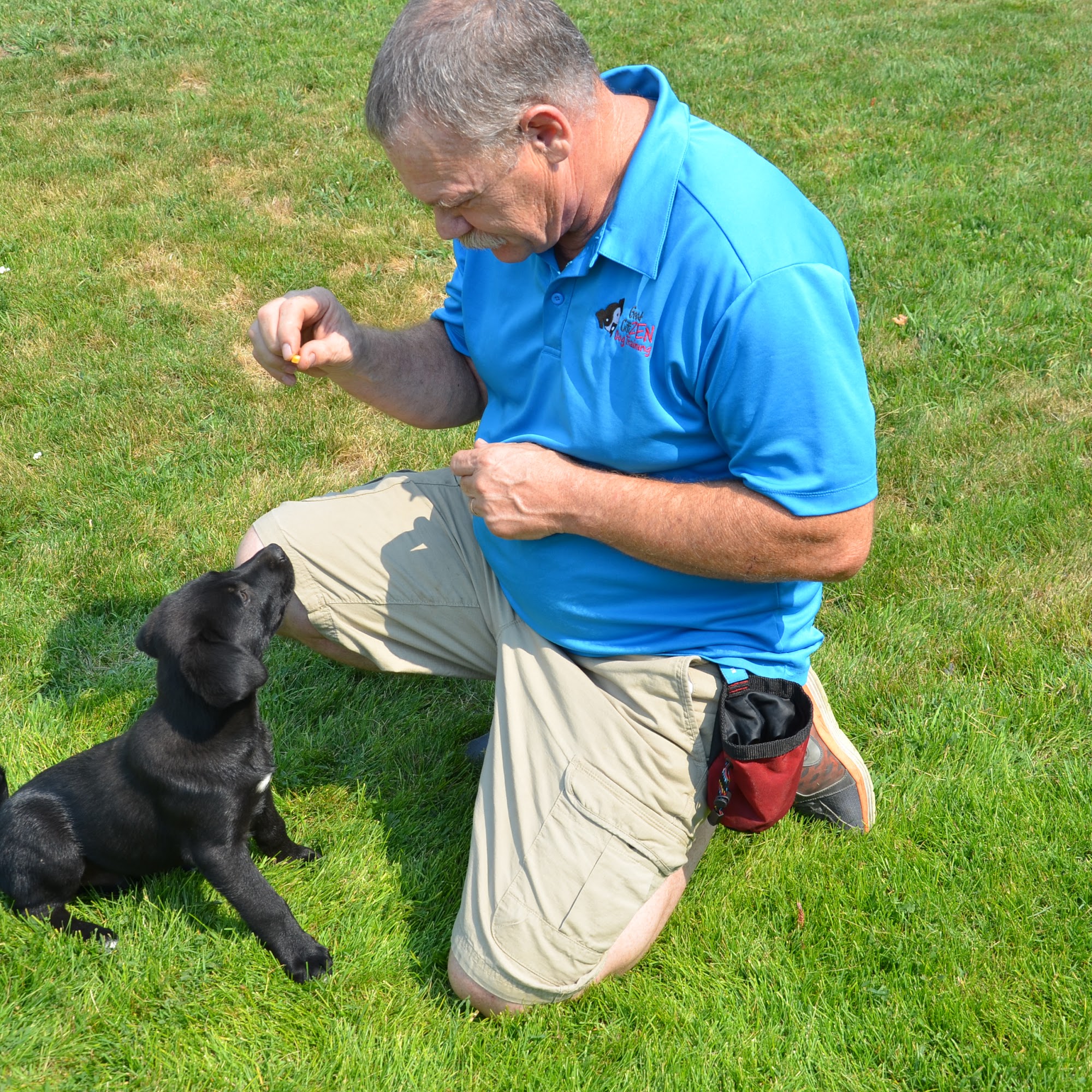 Good Citizen Dog Garden City