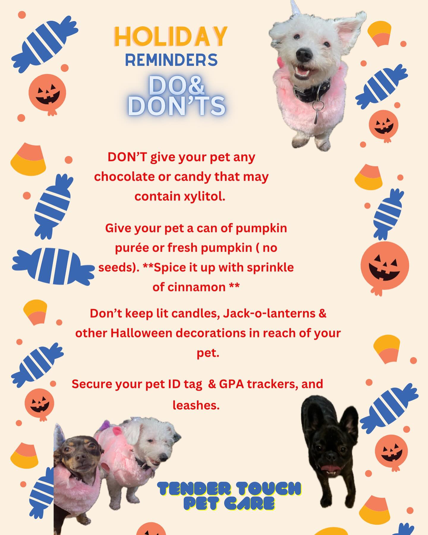 Tender Touch Petcare