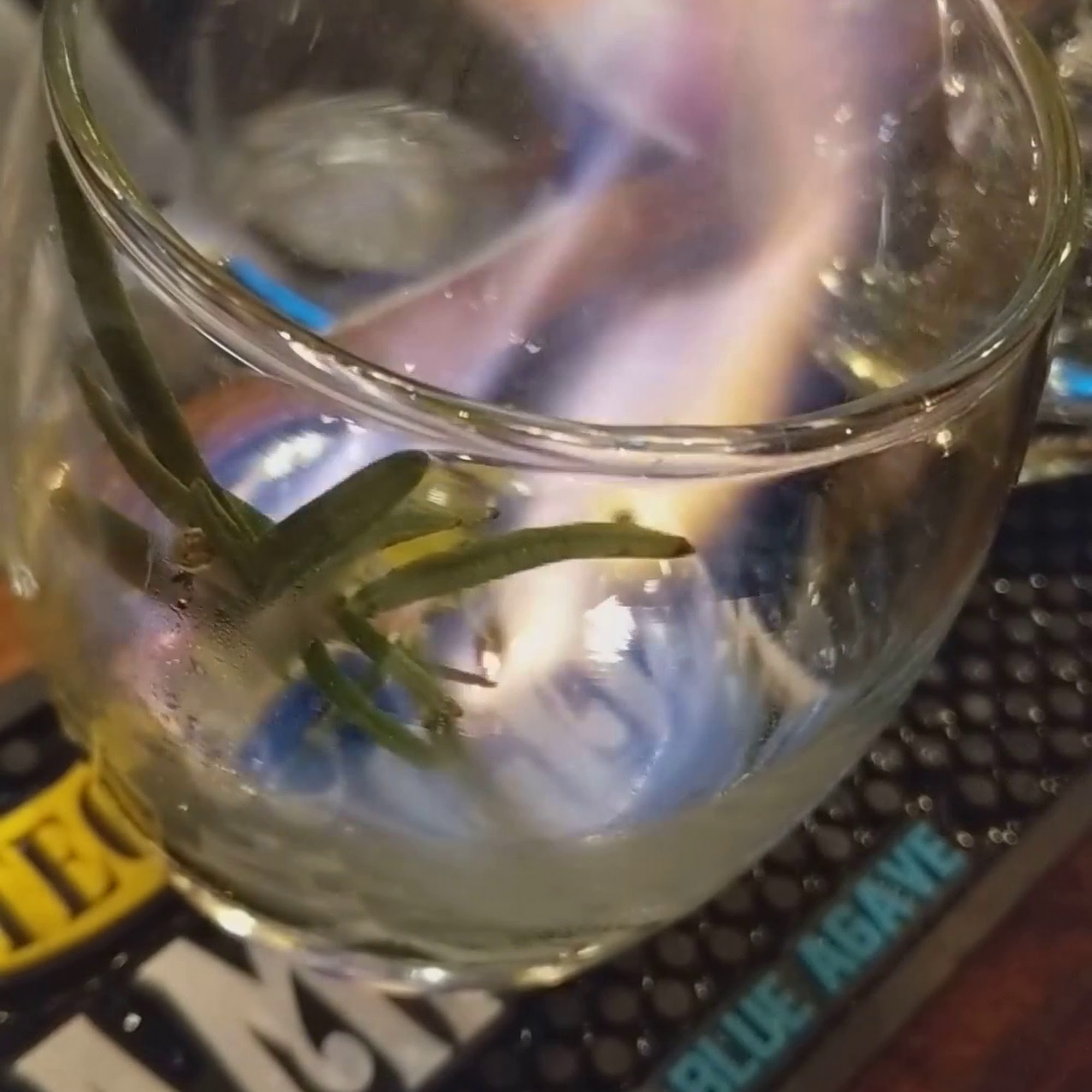 The Bee's Knees Whiskey Bar Hayden