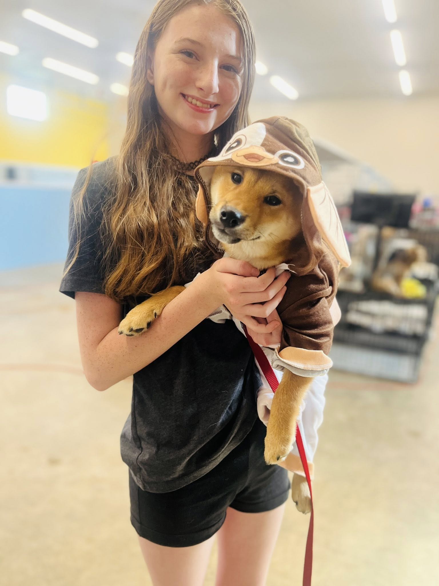 Guardian Angel Grooming Hayden