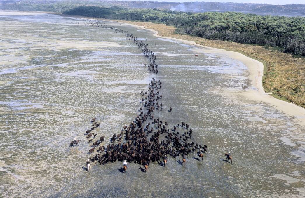 D'railed Idaho Falls