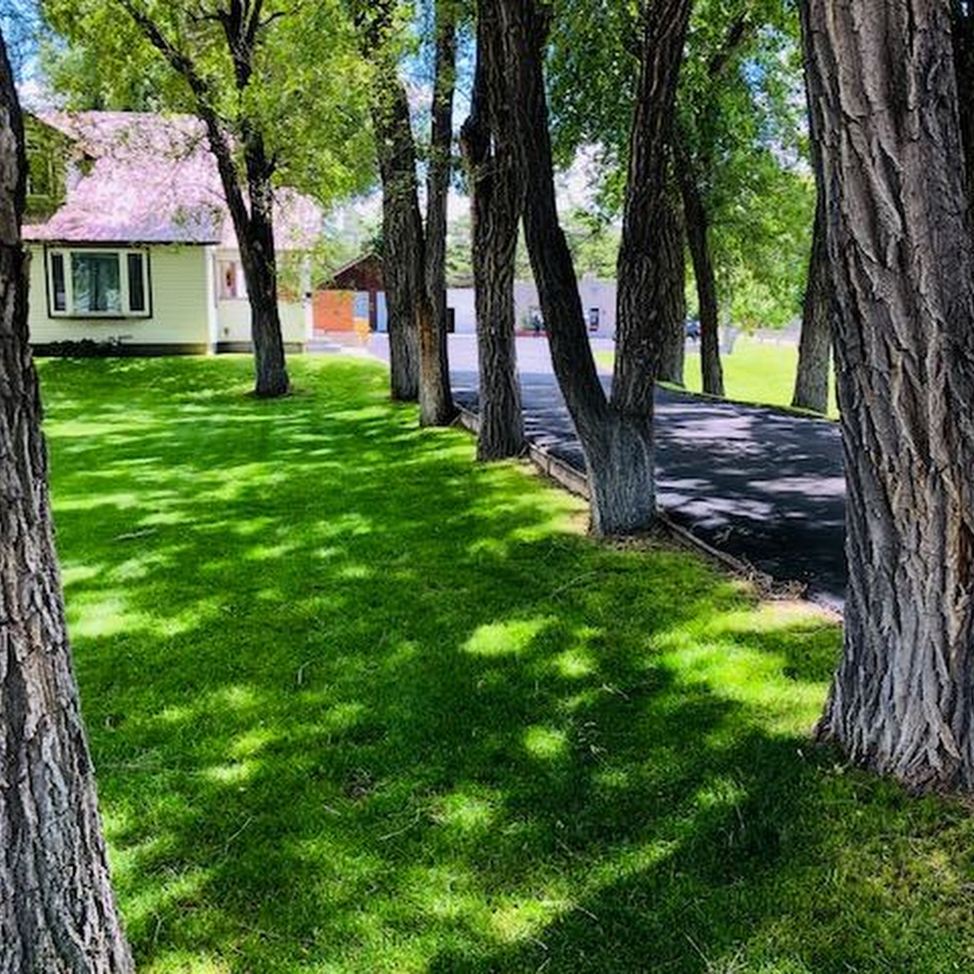 Megan's Northgate Animal Boarding & Doggy Daycare Idaho Falls