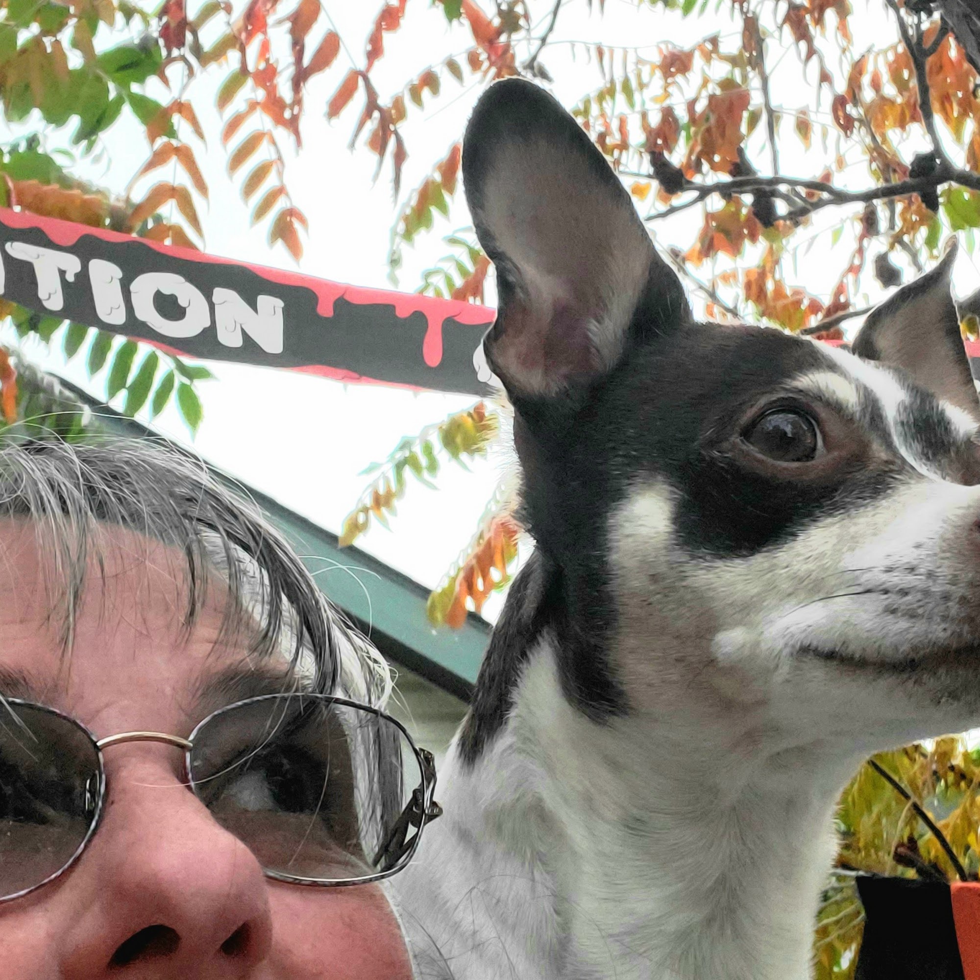 Countryside Veterinary Hospital: Shoemaker Kathy DVM Idaho Falls