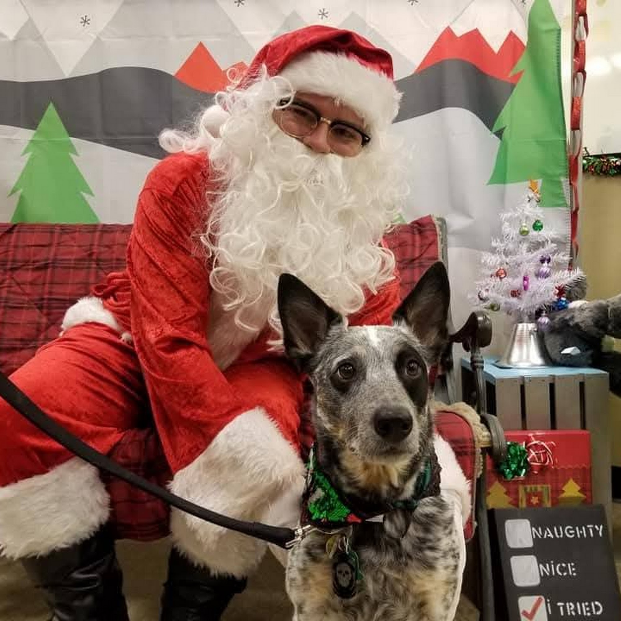 Skyline Animal Hospital Idaho Falls