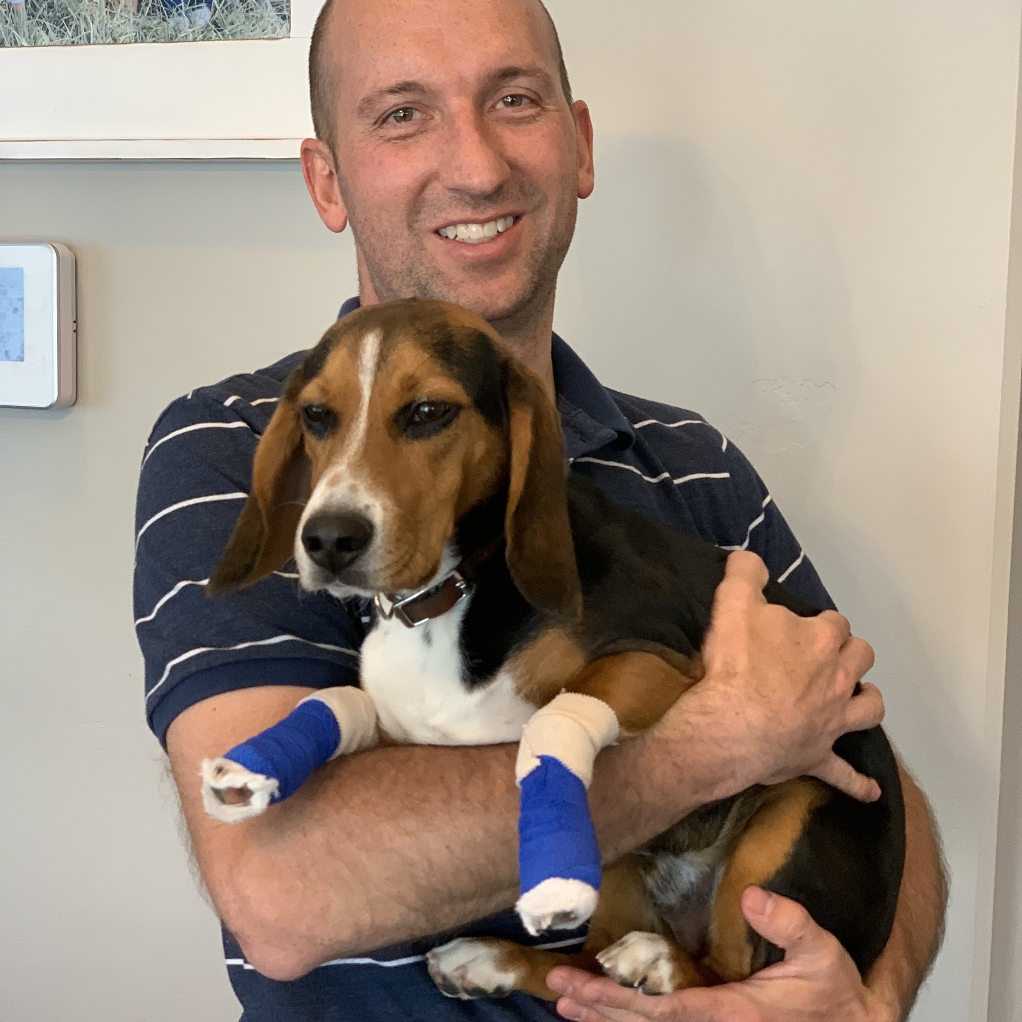 Crow Creek Veterinarian Clinic Idaho Falls