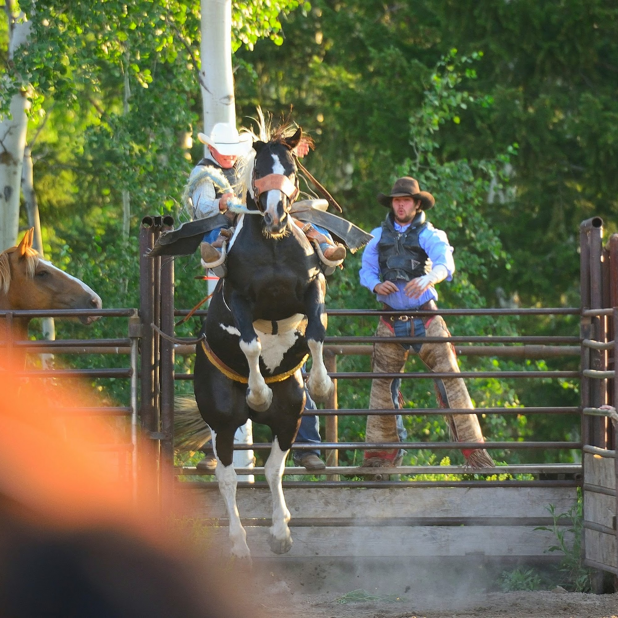 Meadow Vue Ranch Island Park