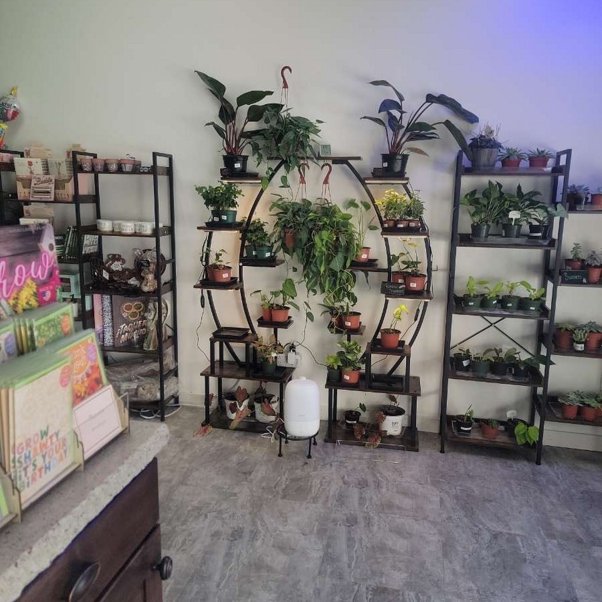 Aroma Florals And Gifts 124 E Yakima Ave Suite E, Jerome Idaho 83338