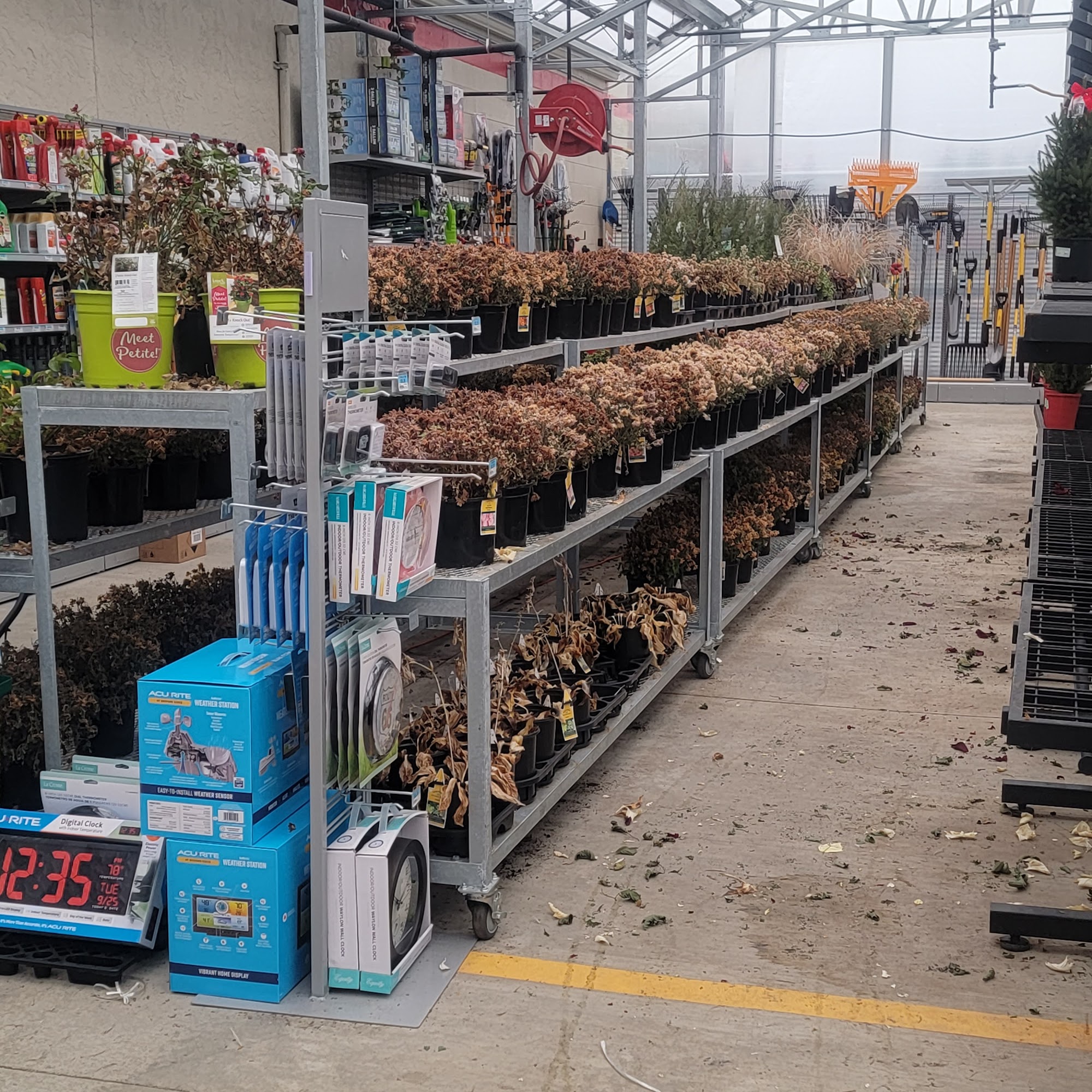 Tractor Supply Co. Kellogg