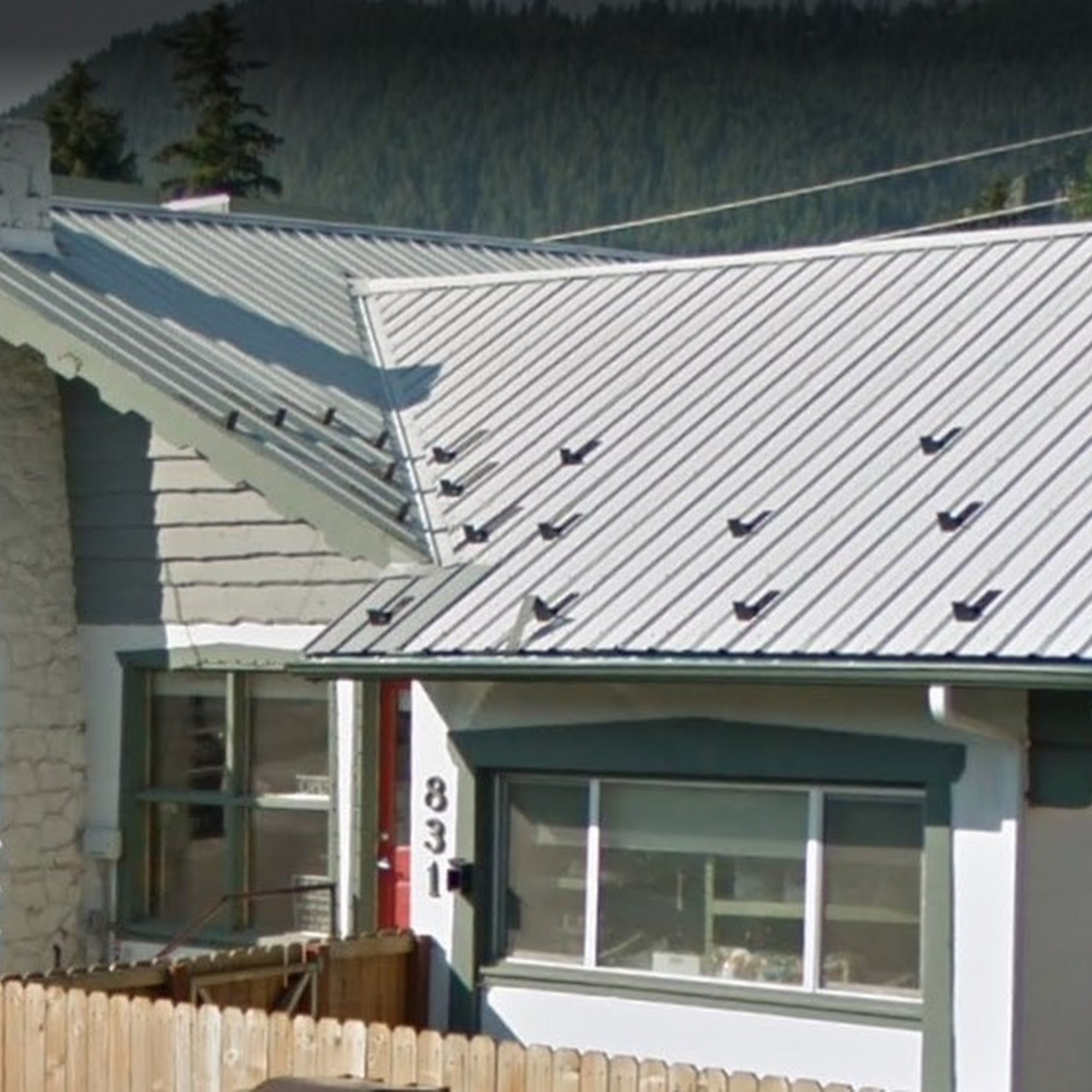 Sun Valley Animal Center Downtown Ketchum