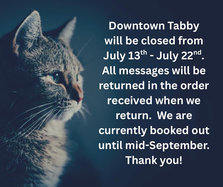 Downtown Tabby | Professional Cat Grooming Kuna