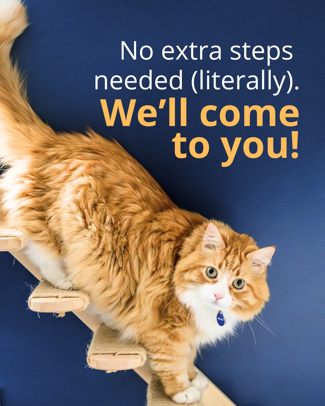 Treasure Valley Veterinary Hospital Kuna