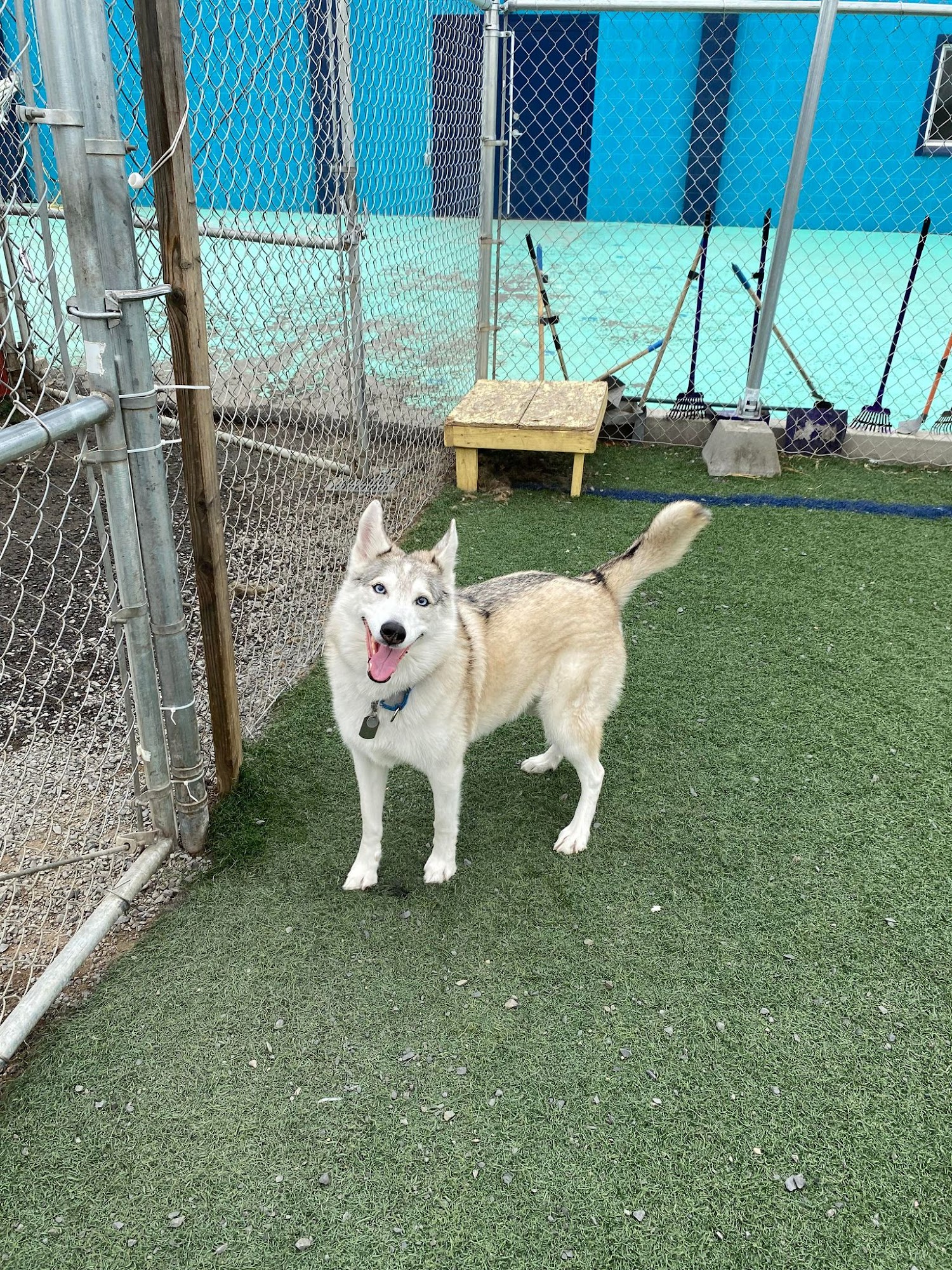 Fur Family Cinema, LLC Lewiston