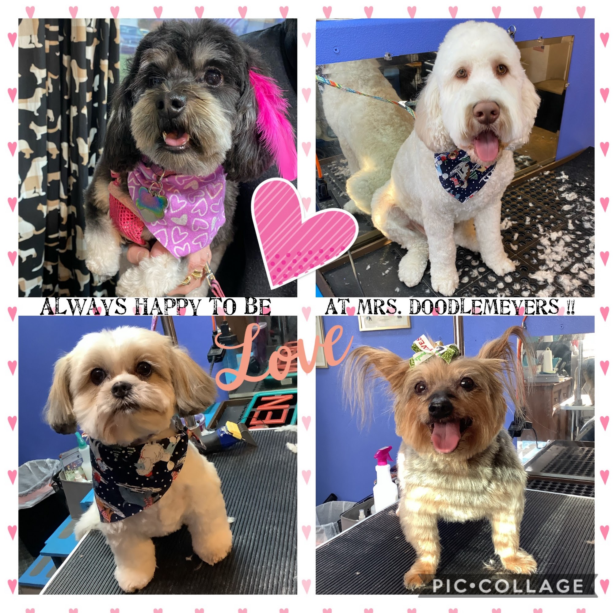 Mrs. Doodlemeyer's Doghouse Lewiston