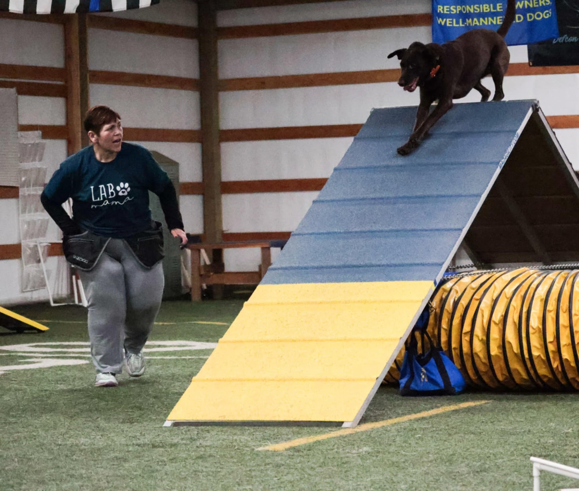 Snake River Four Paws Lewiston