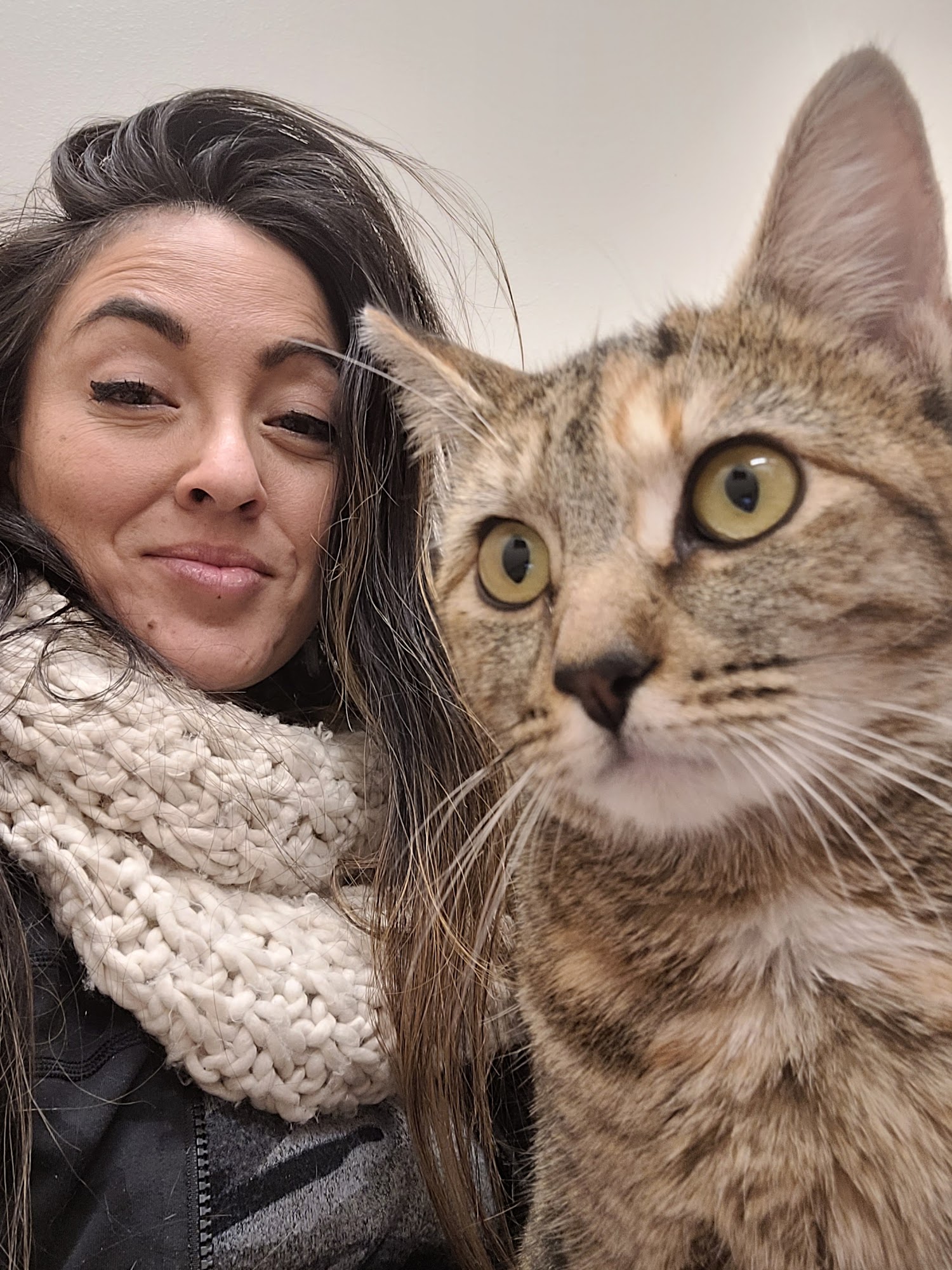 All Valley Animal Care Center Meridian