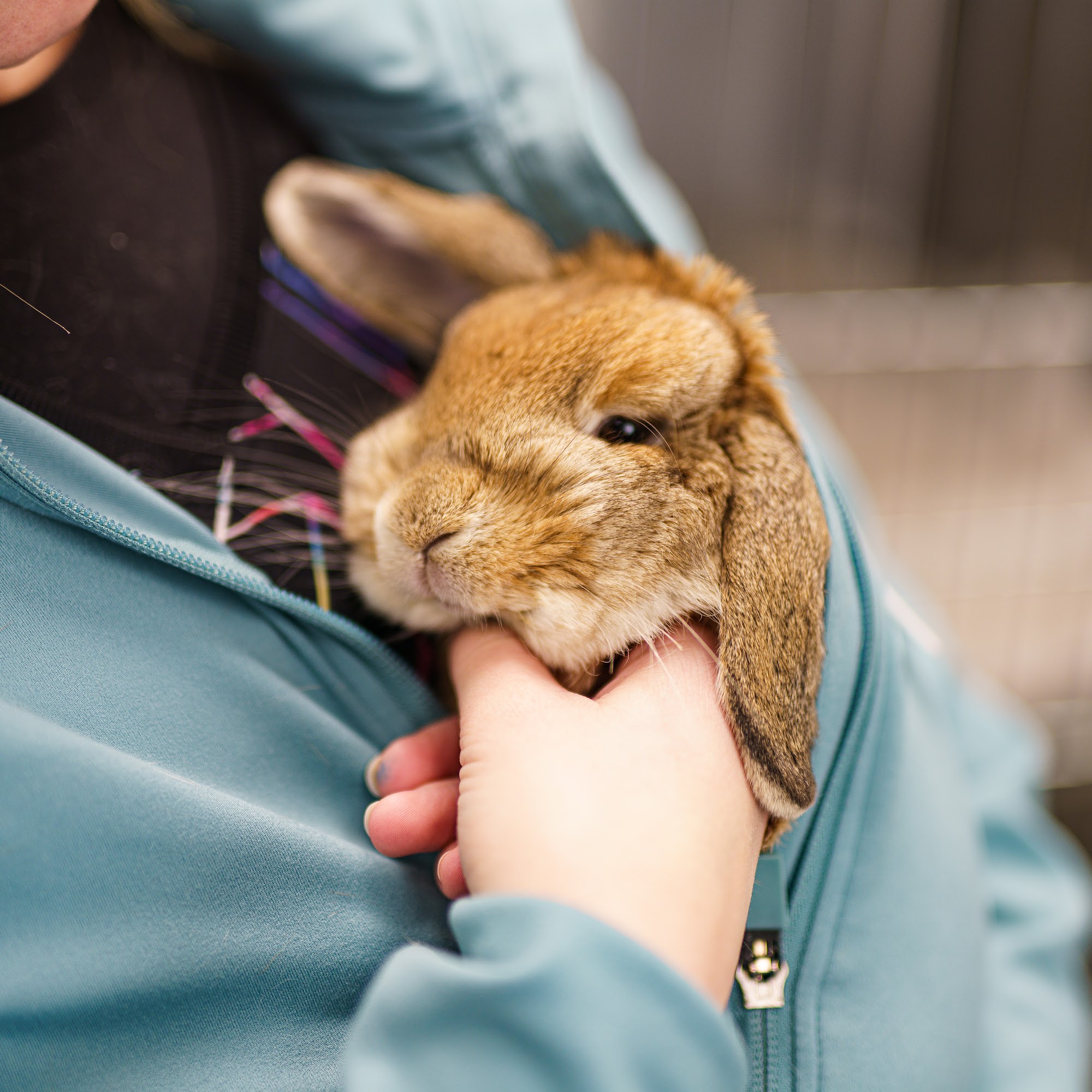 Linder Pet Medical Care Meridian