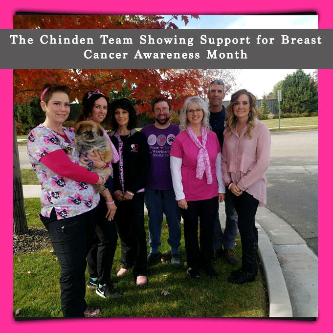 Intermountain Pet Hospitals, Chinden Meridian