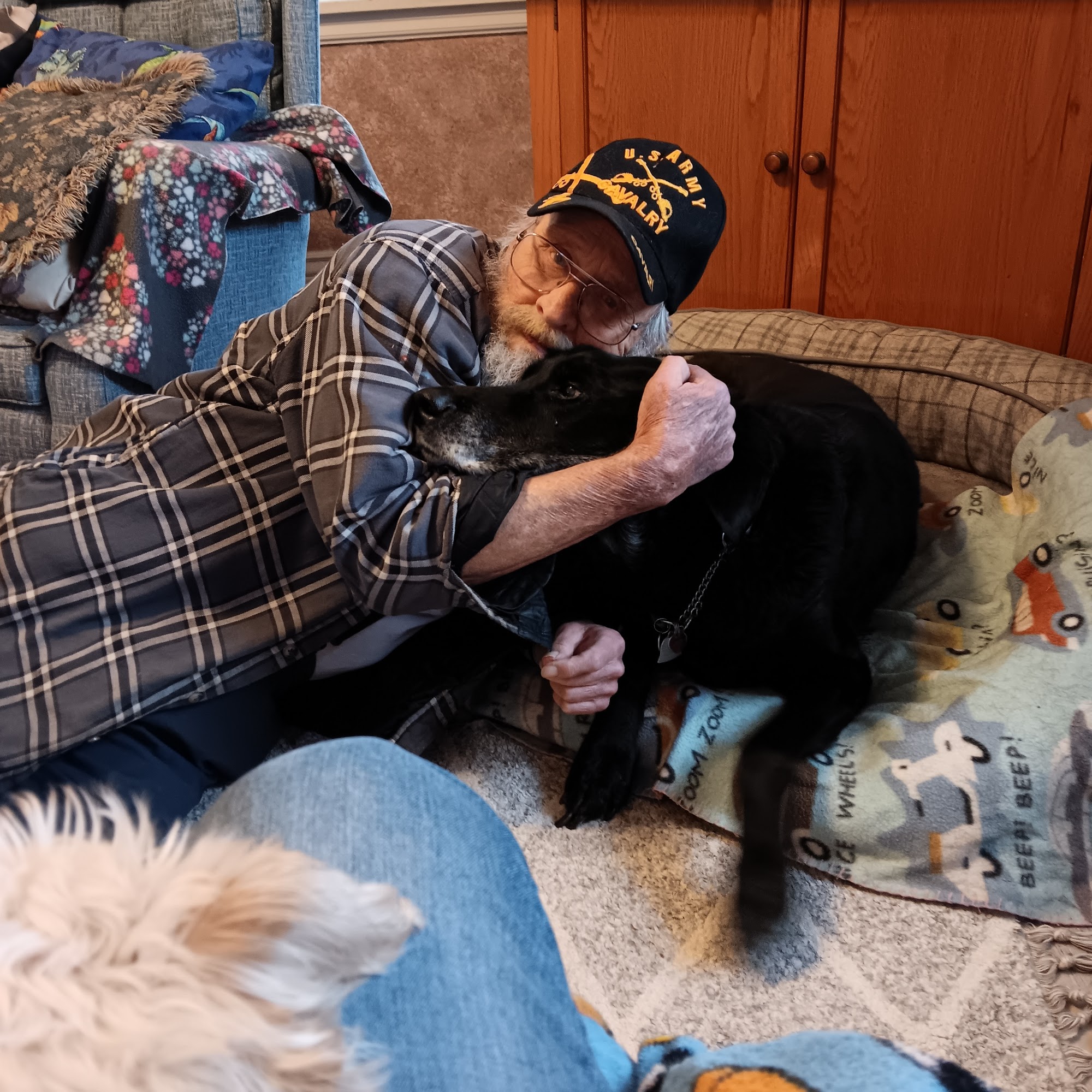 Meridian Veterinary Hospital Meridian