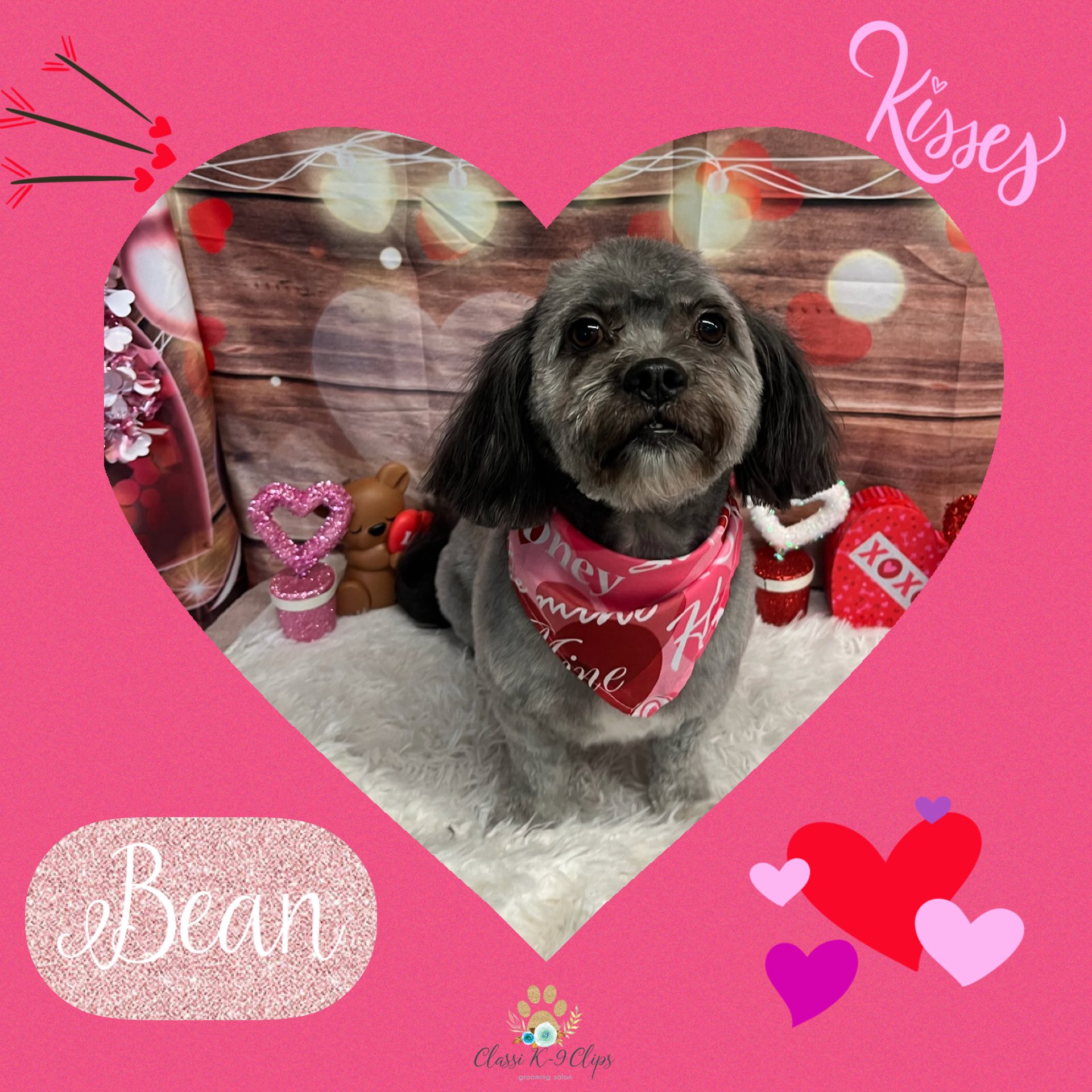 Classi K-9 Clips Meridian