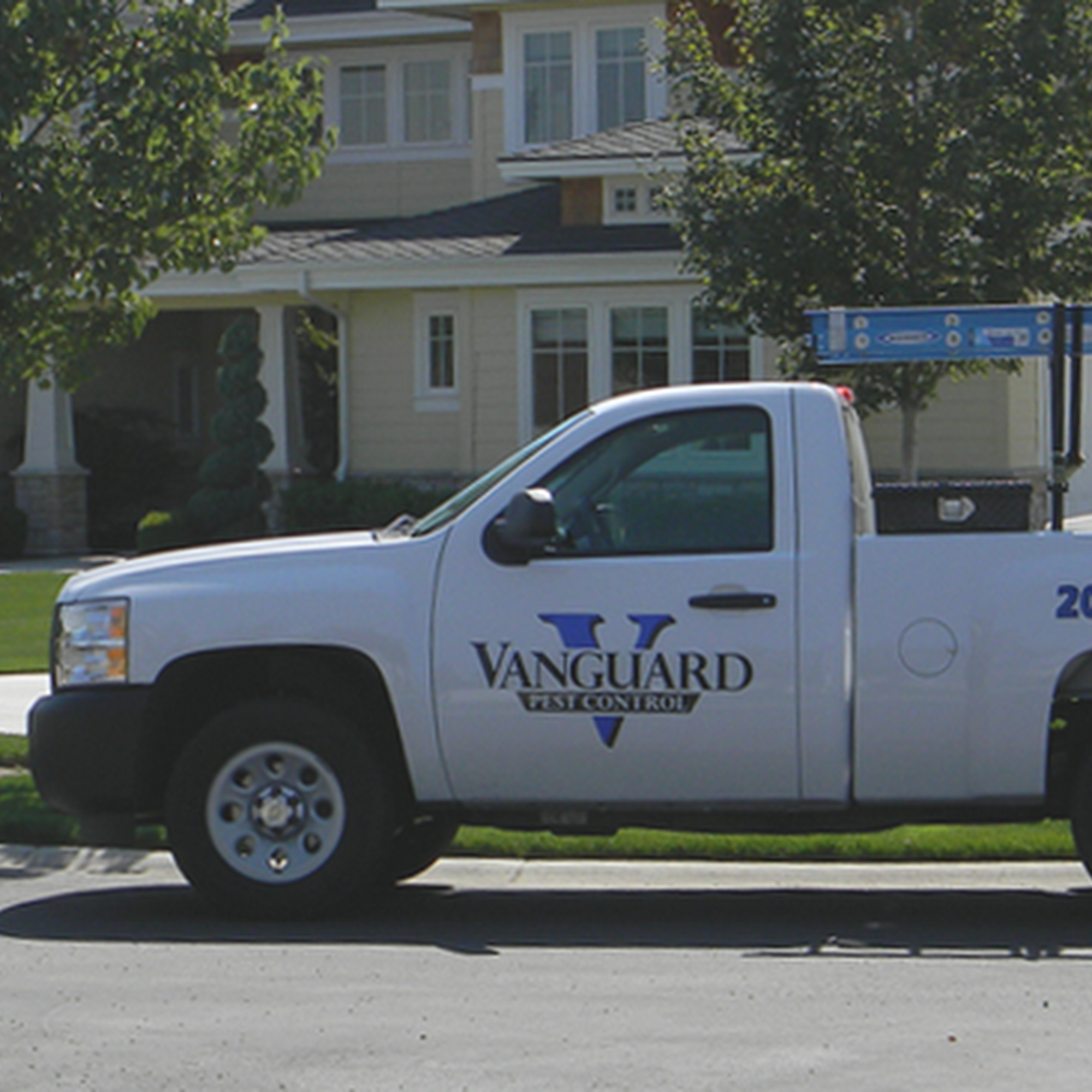 Vanguard Pest Control