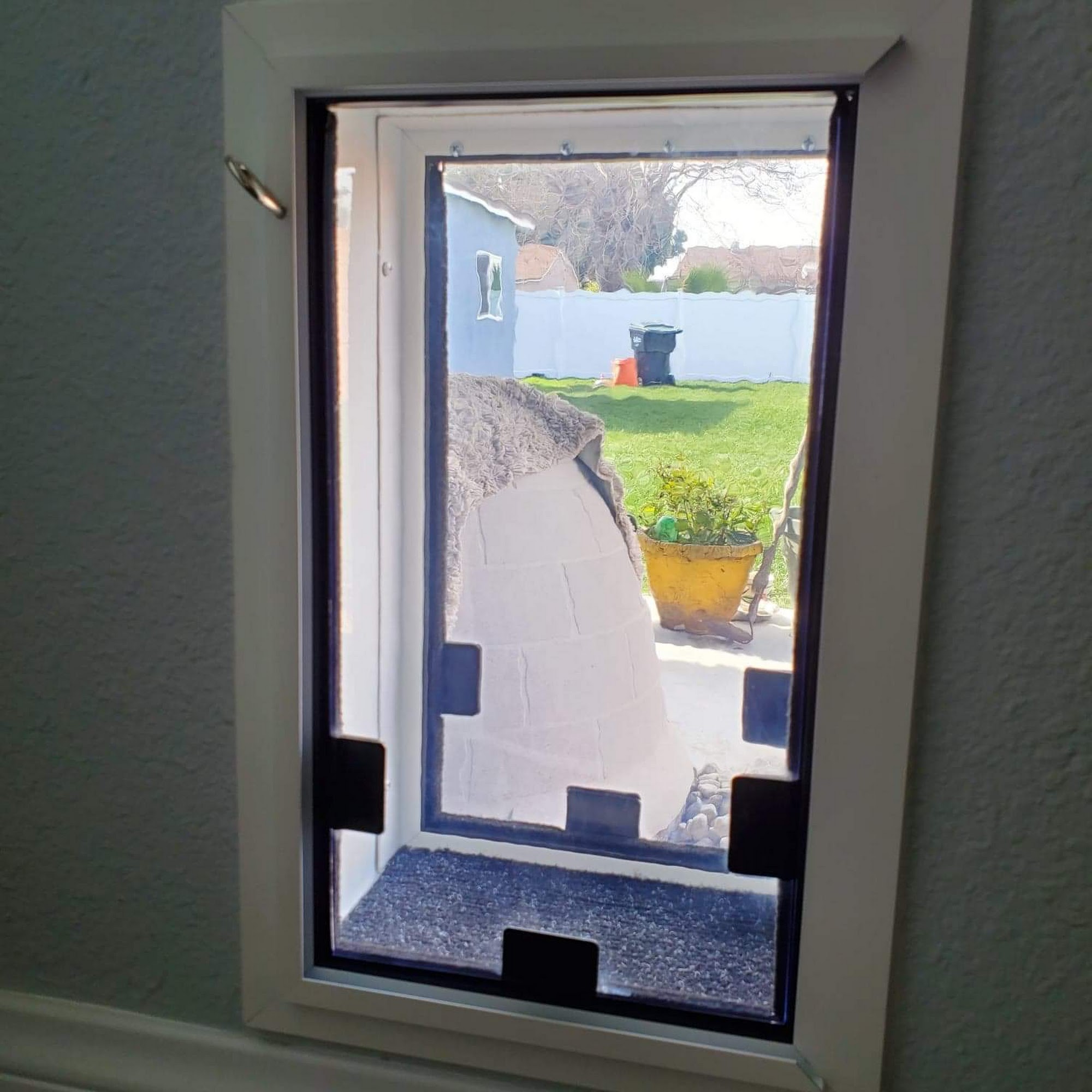 American Pet Doors Meridian